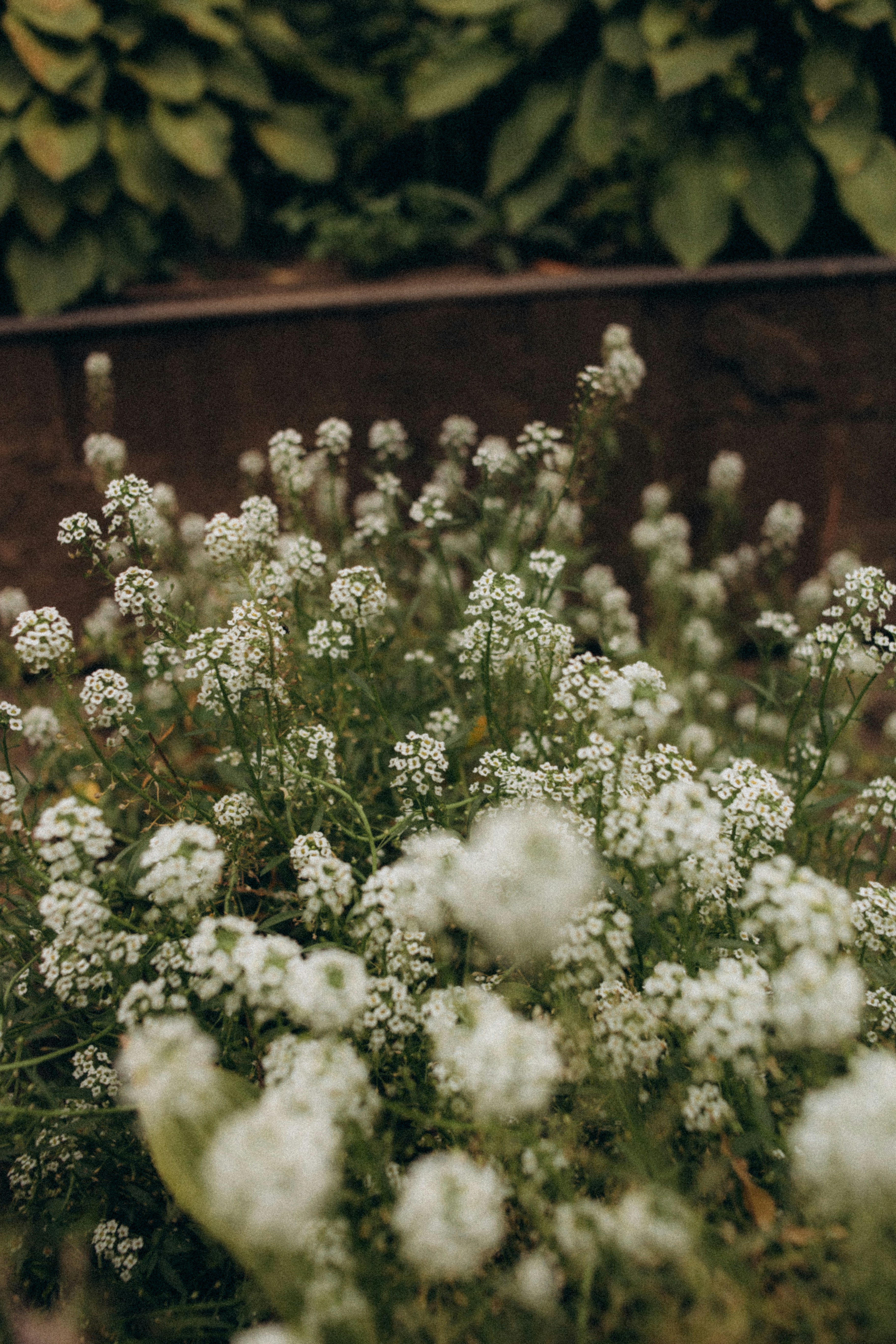 Photo by tobolenkoph