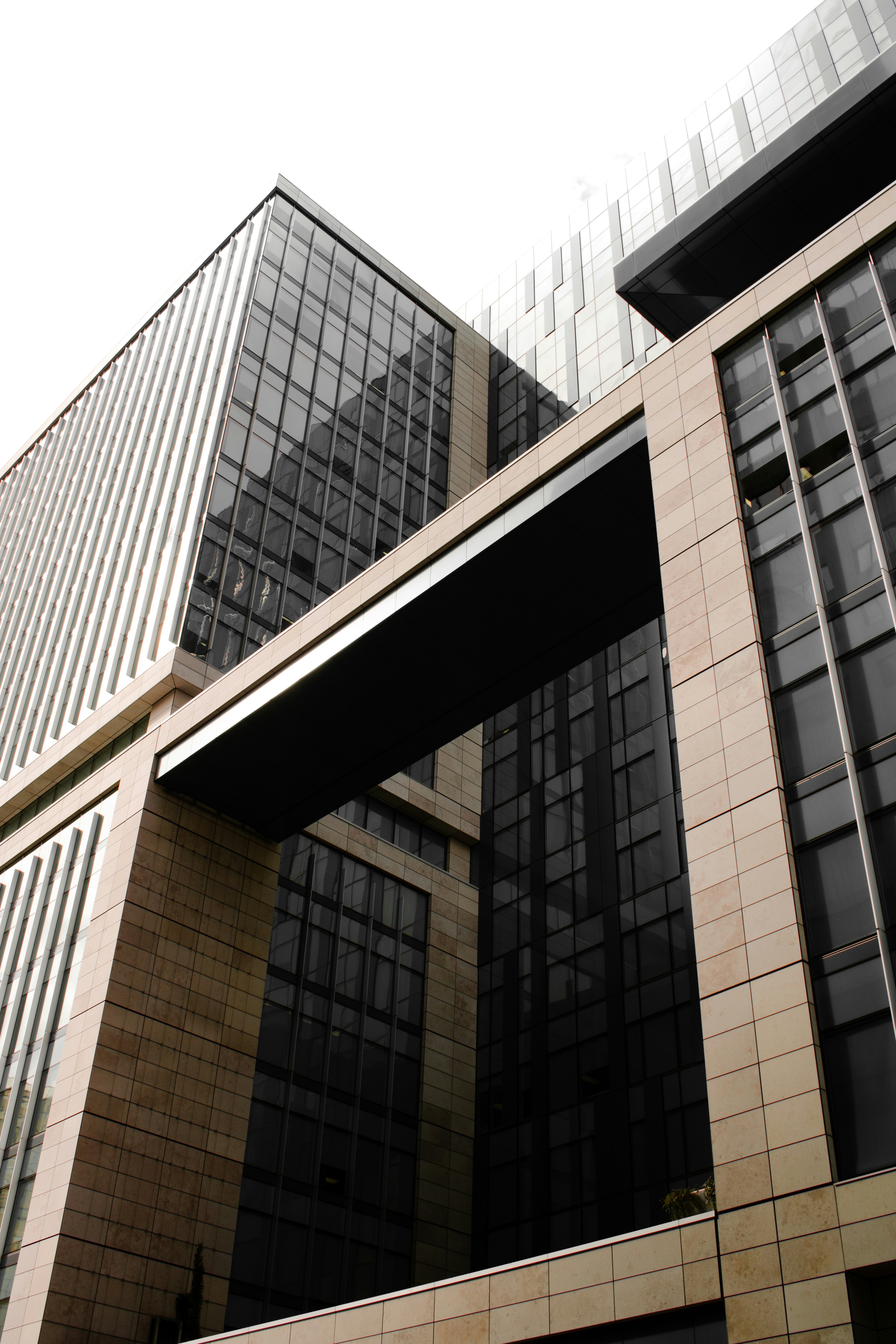 Photo by lucaskohoko