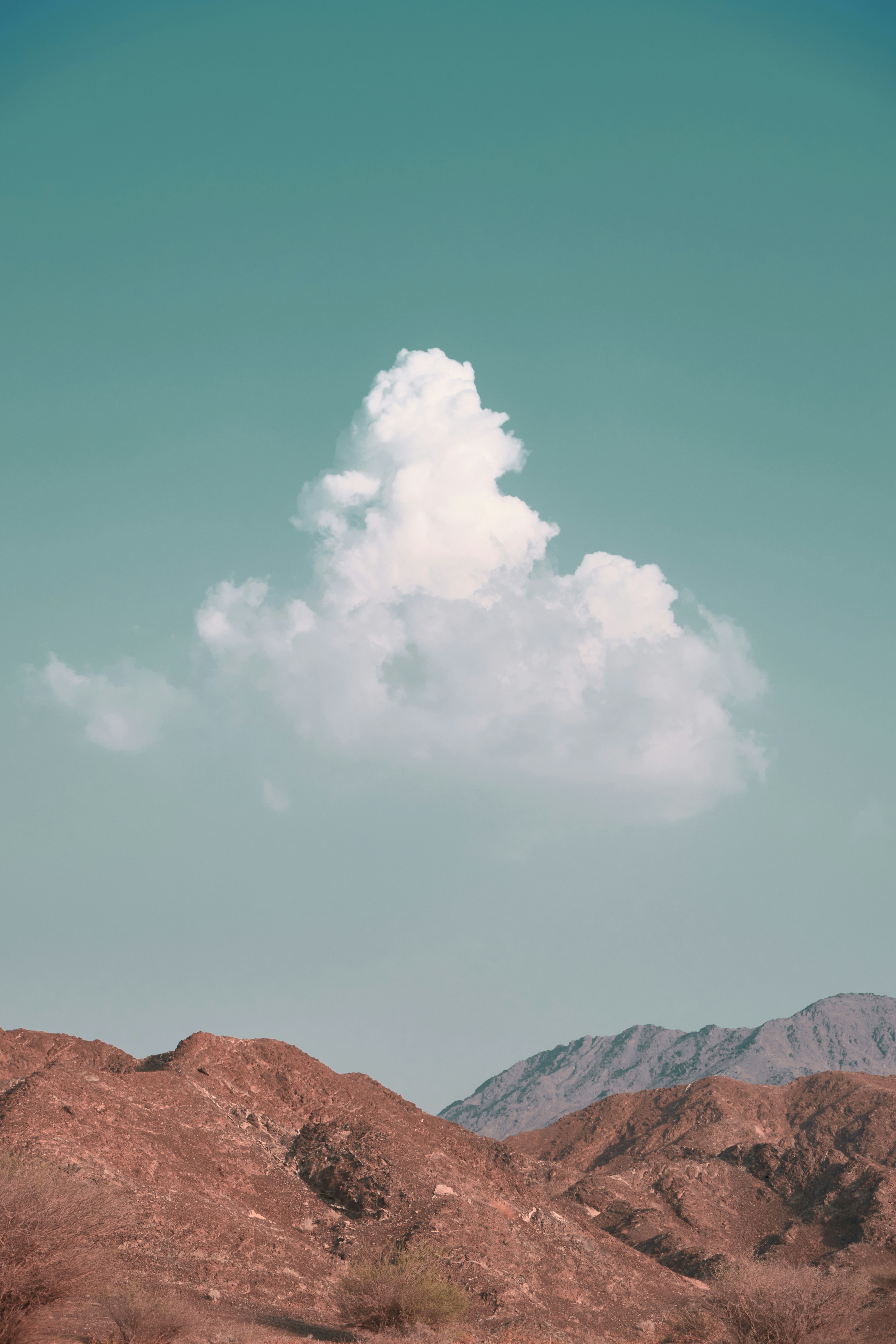 Photo by lazyeyedone