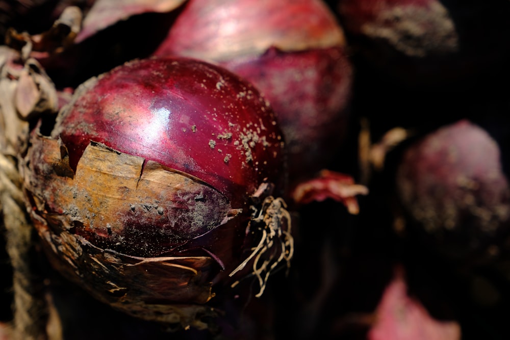 a close up of a bunch of red onions