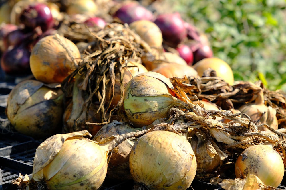 a pile of onions sitting on top of a grill