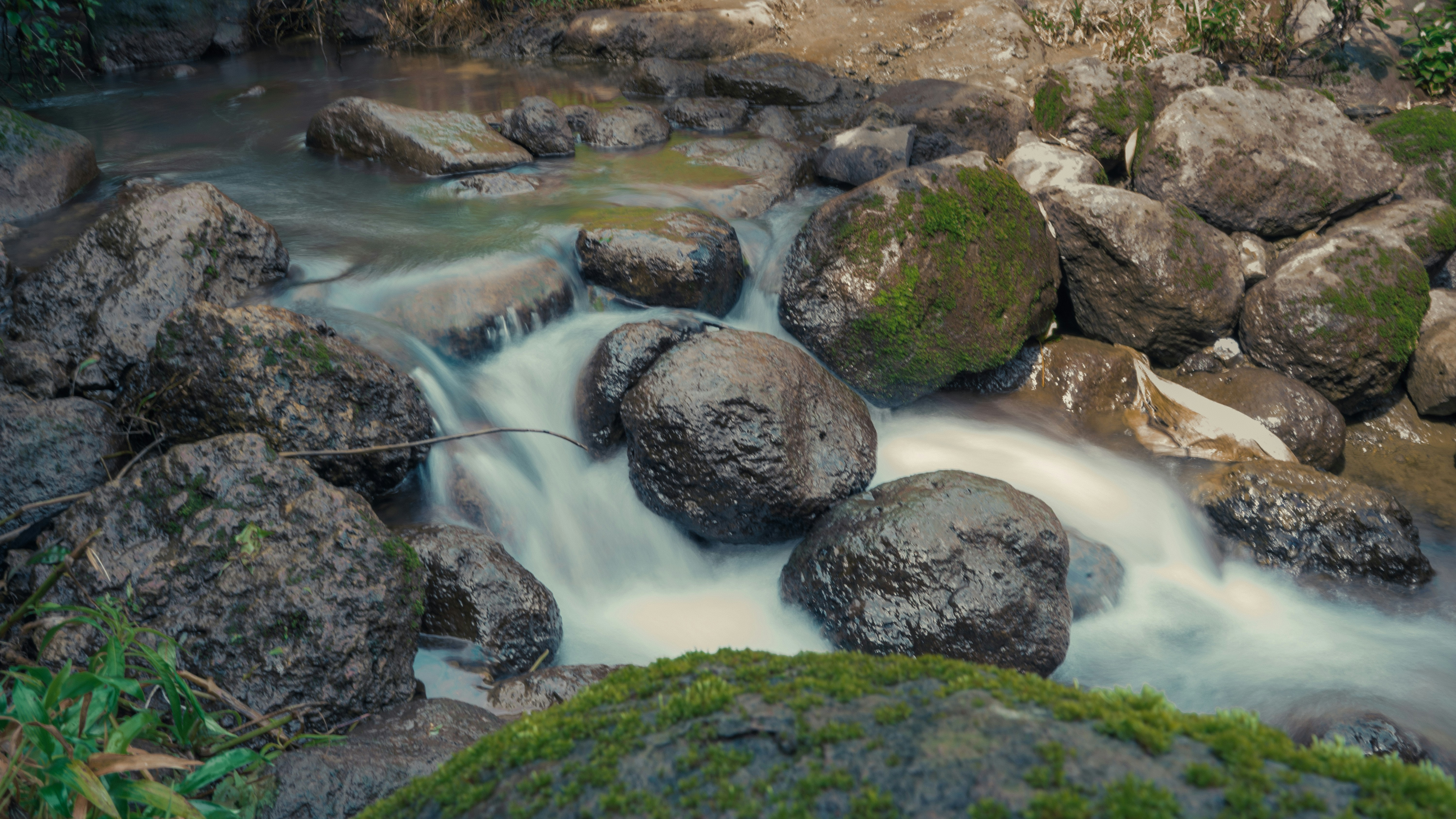 Photo by jayeshjoshi12