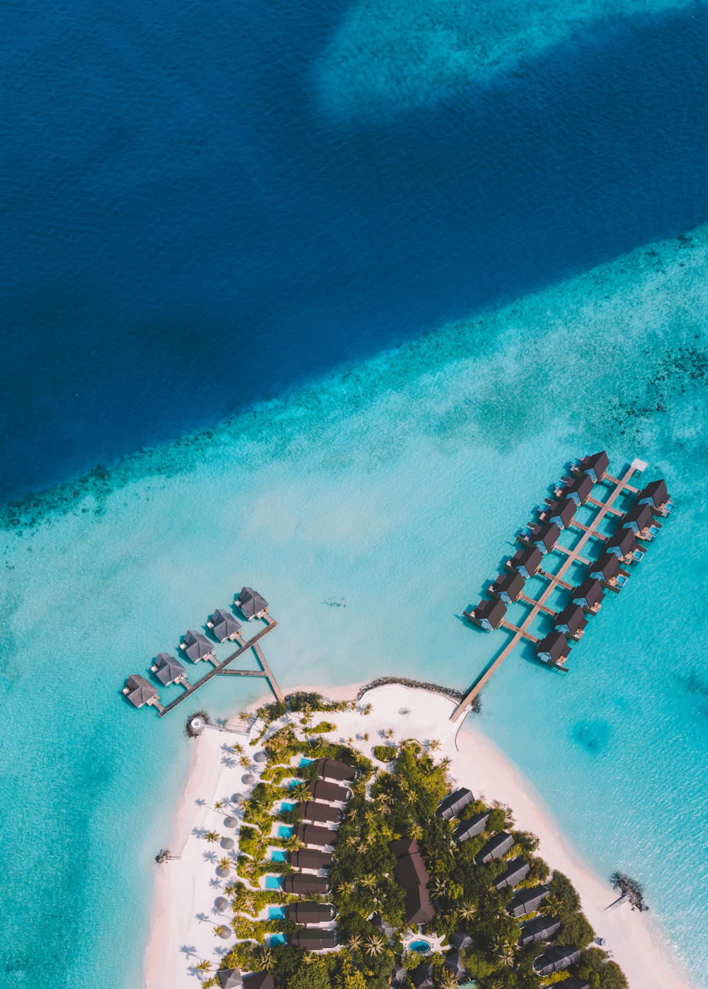 Tropische Malediveninsel mit Strand und türkisfarbenem Wasser aus der Luft