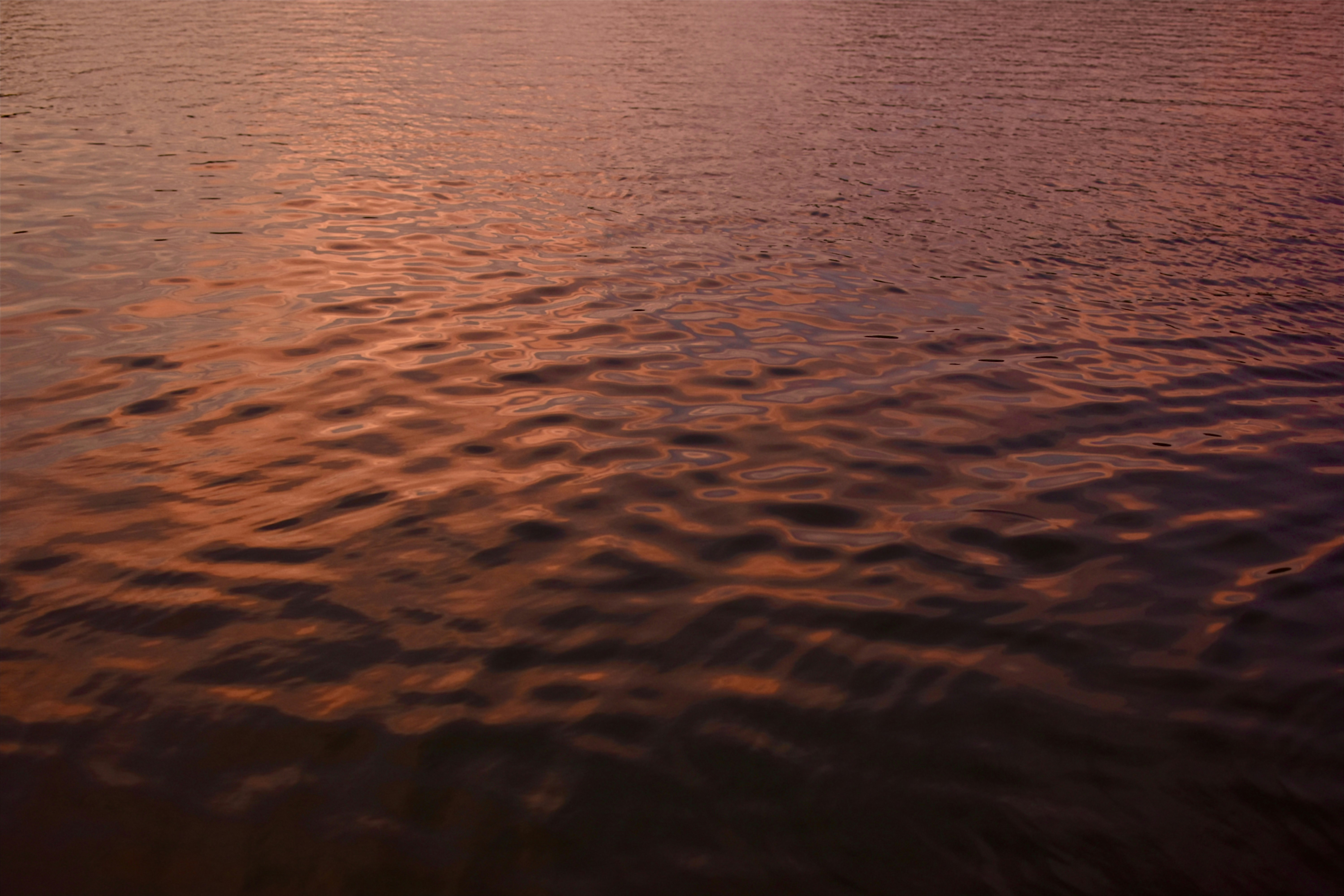 Photo by jizhidexiaohailang