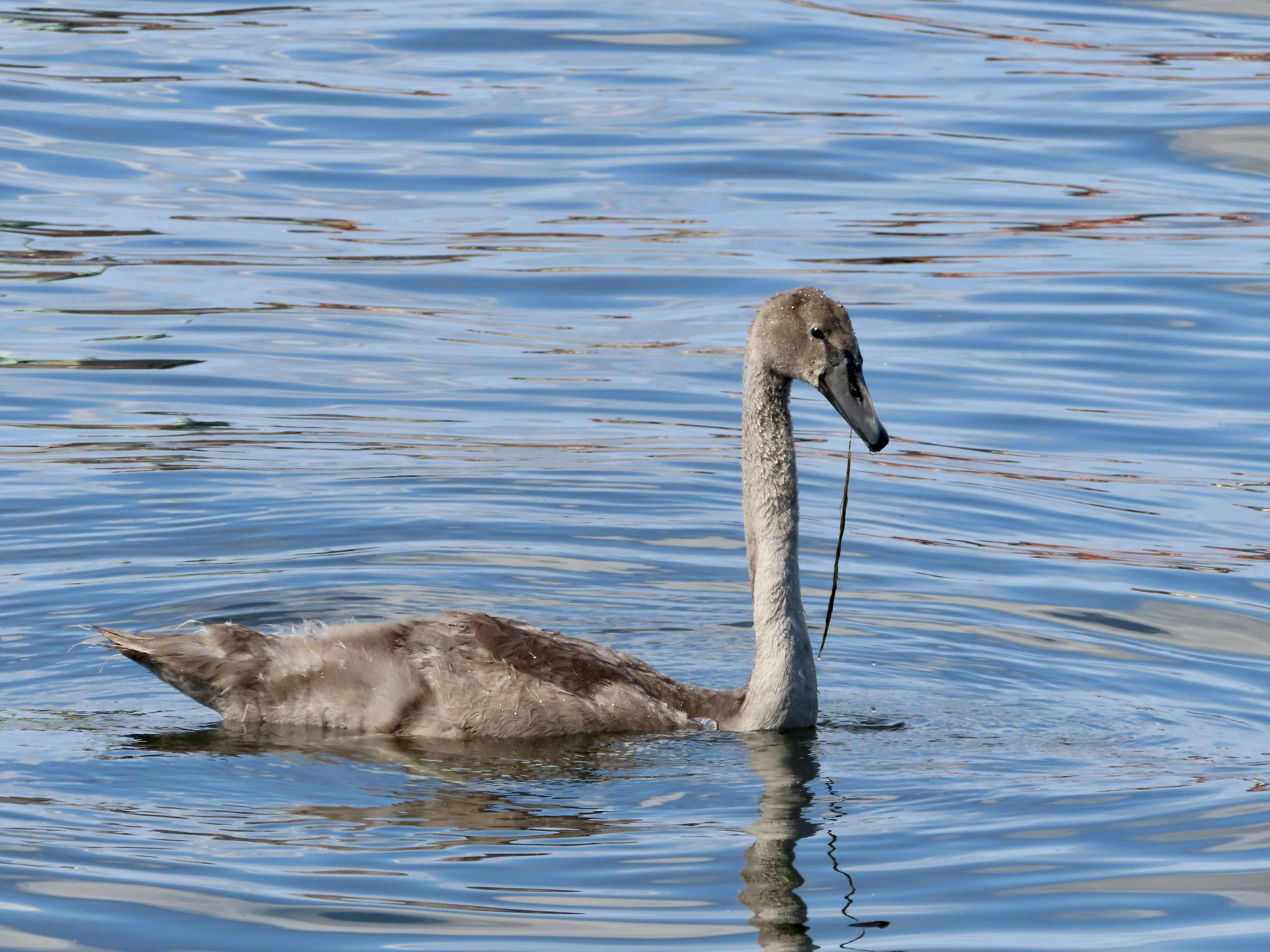 Photo by thom_reijnders