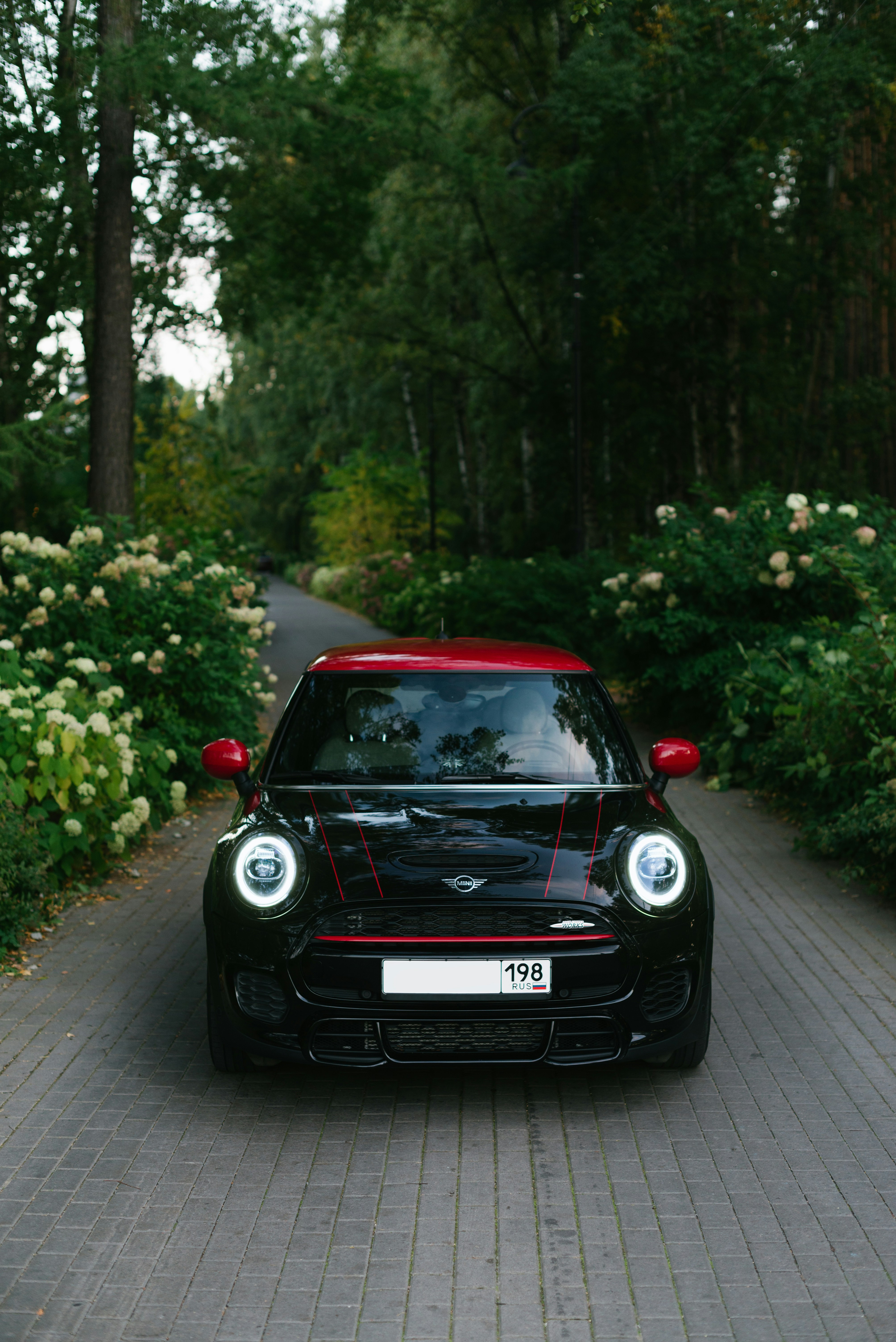 Thriving with Challenges: Navigating Life as a Character with ADHD