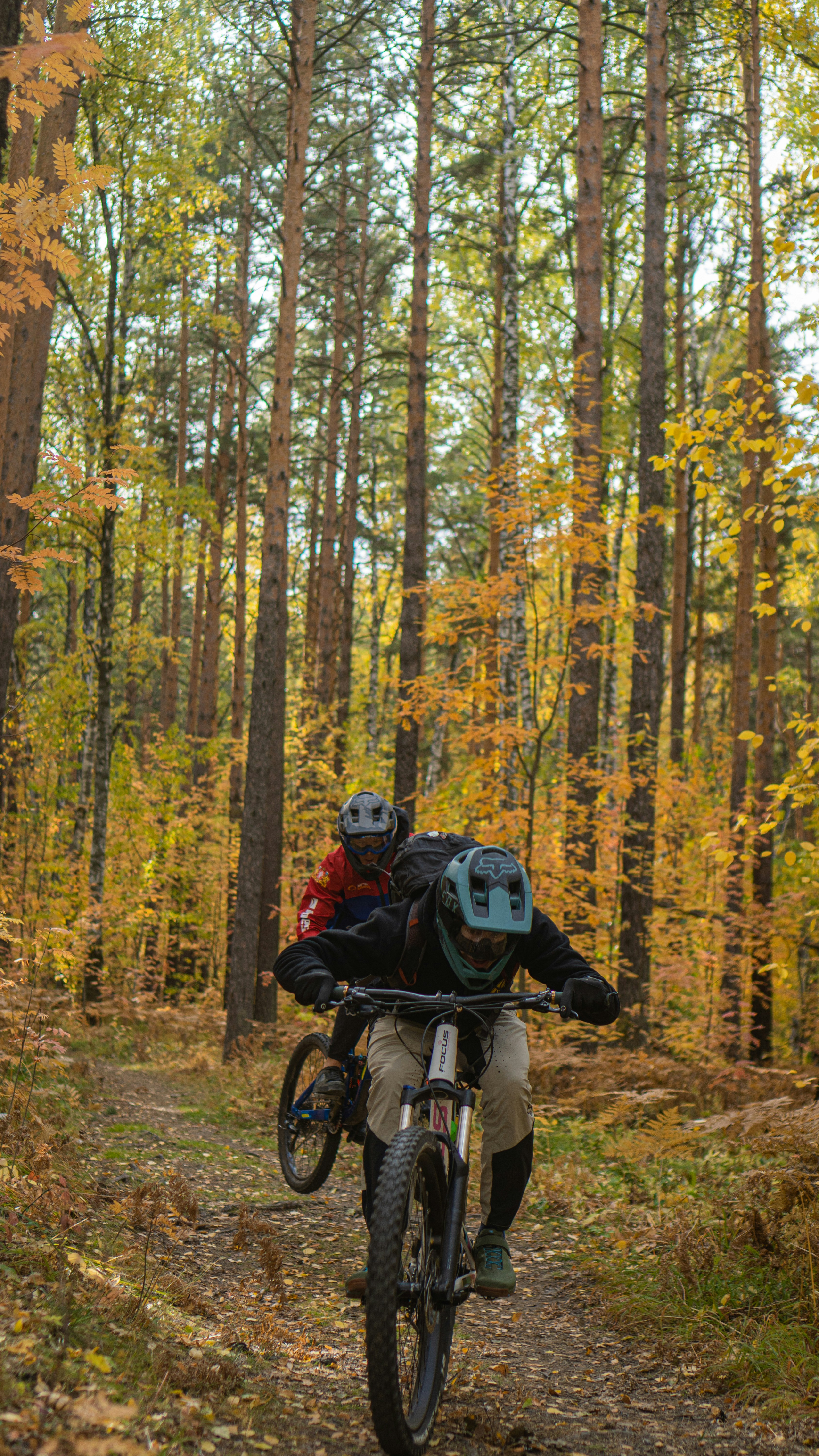a person riding a bike on a trail in the woods