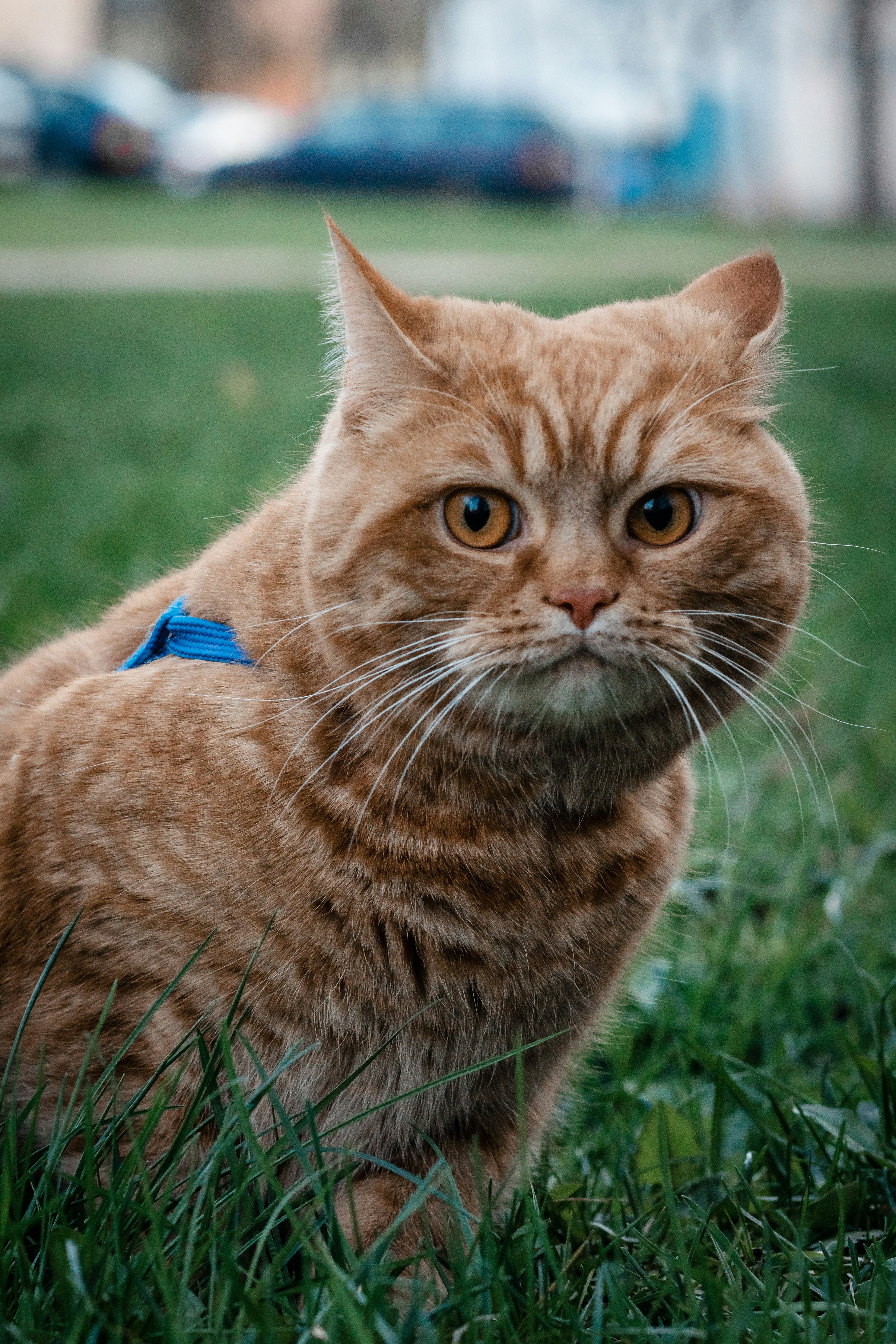 Photo by snatalia1516