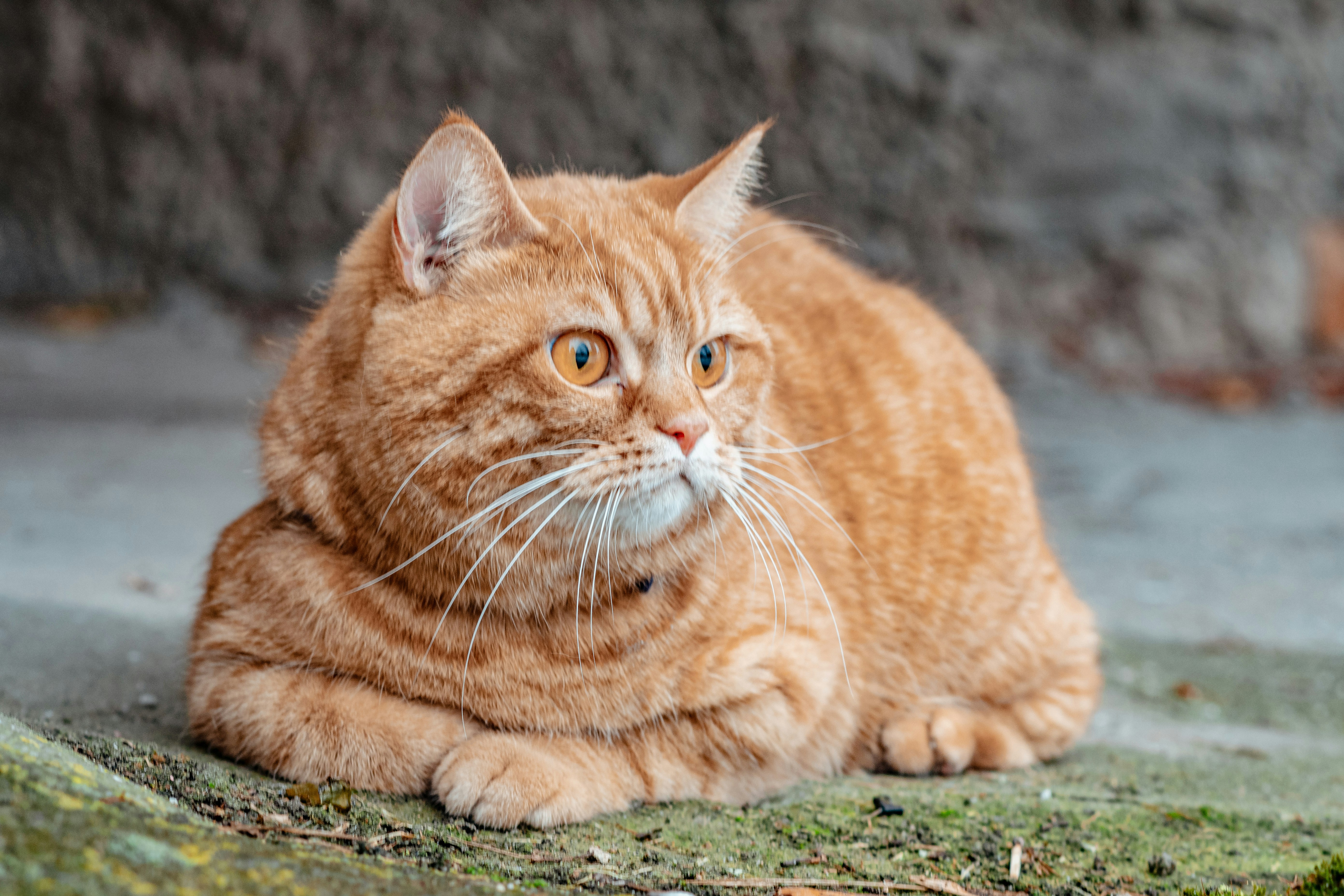 Photo by snatalia1516