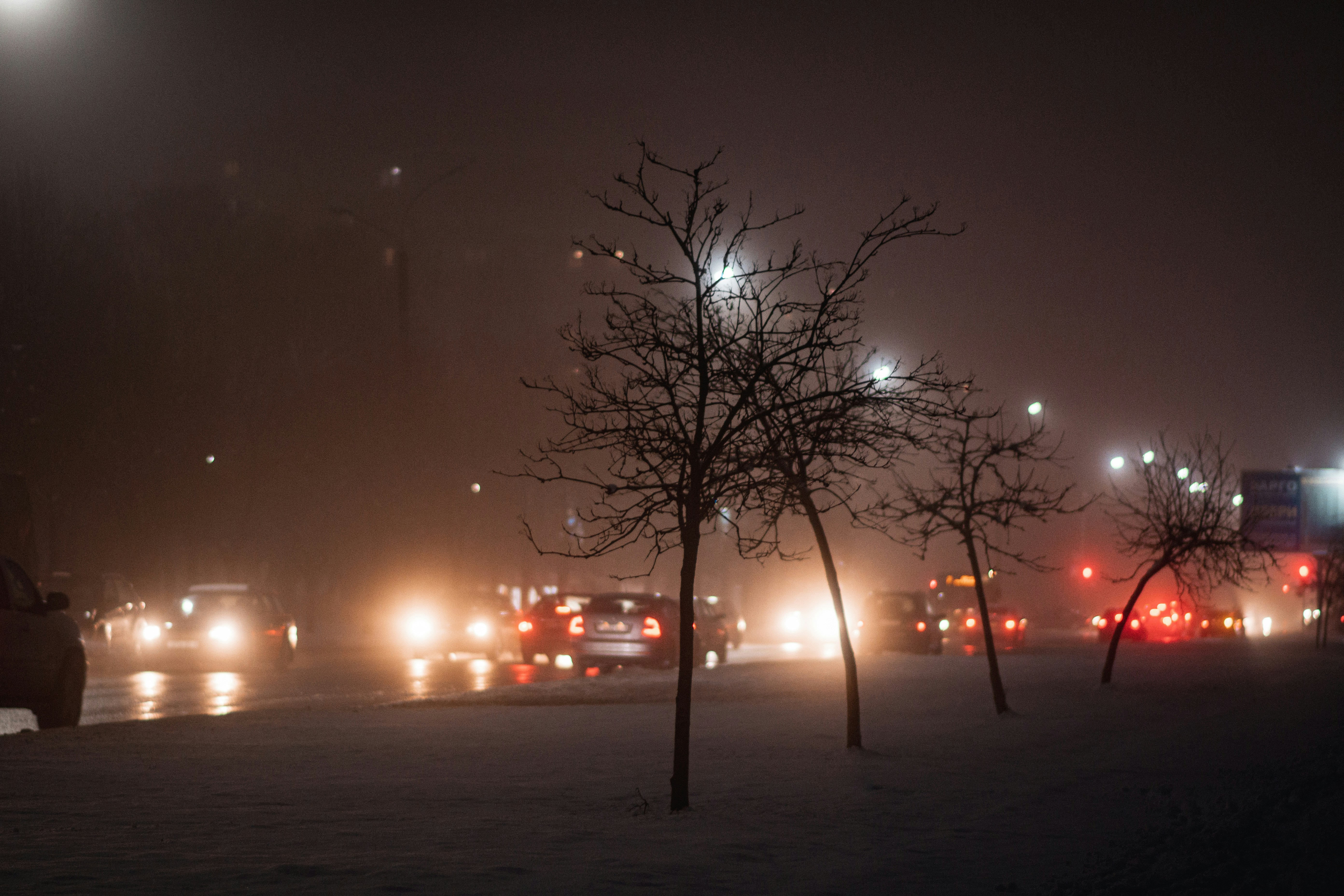 winter entertainment