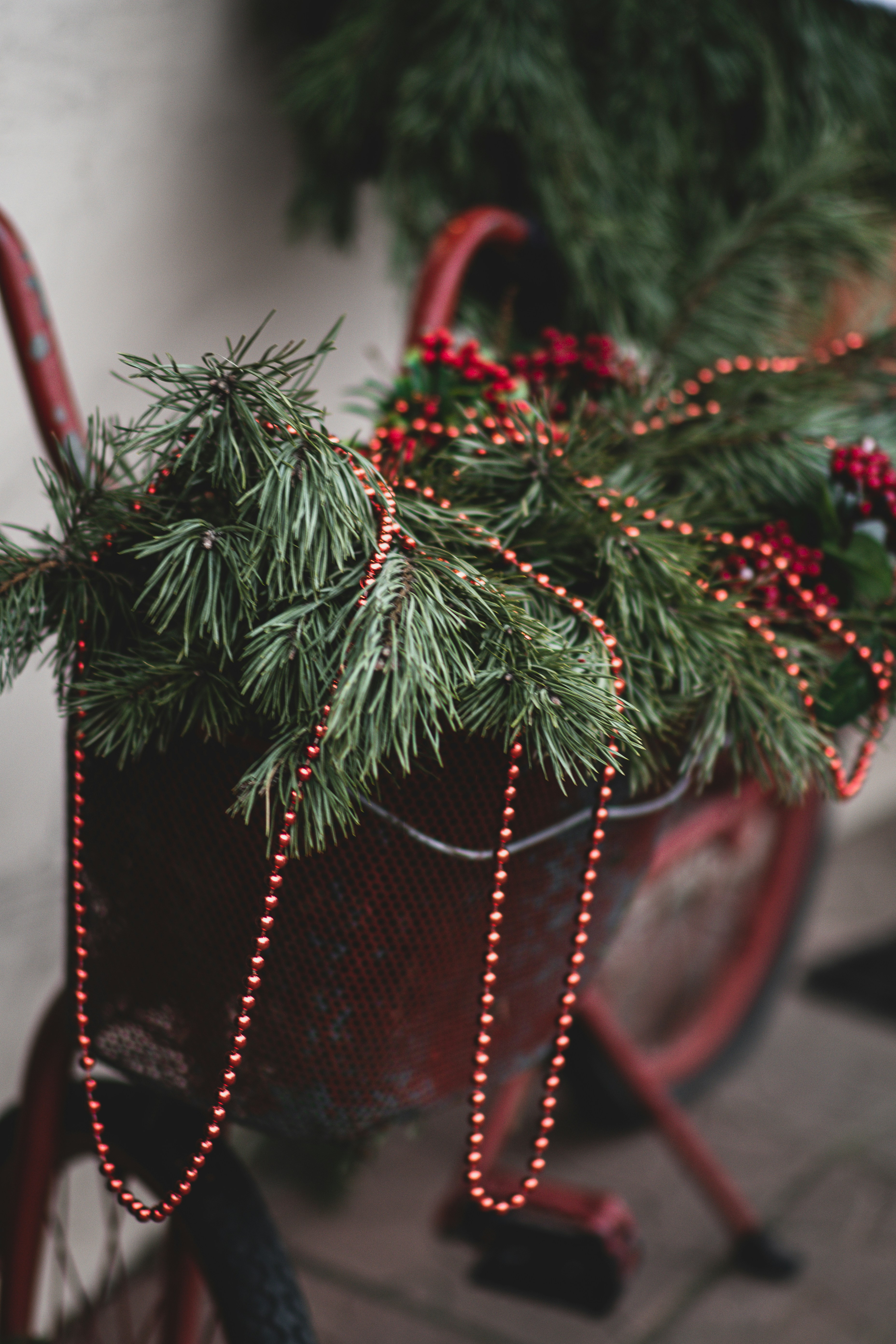 Photo by snatalia1516