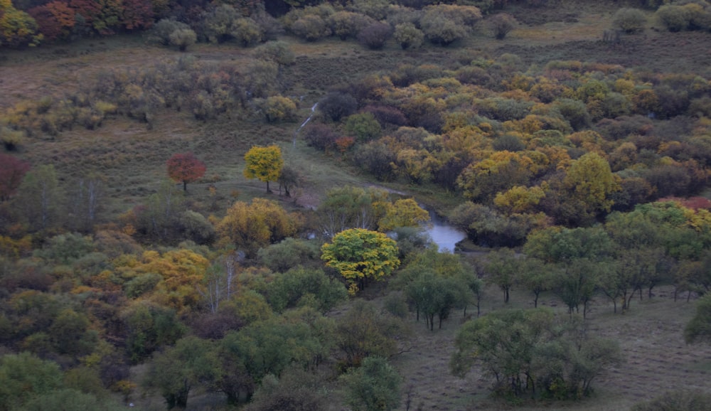 an aerial view of a wooded area with a river running through it
