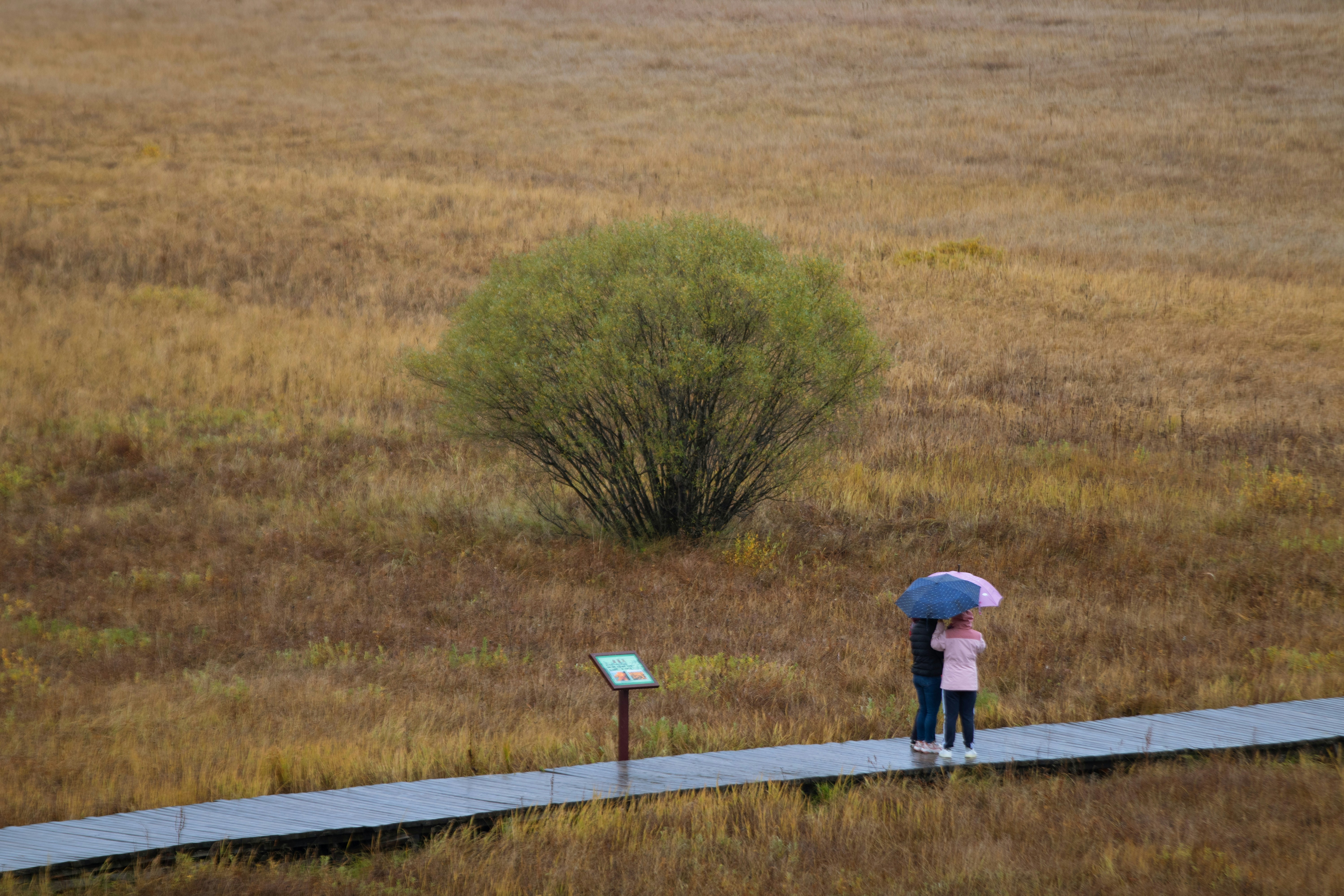 a little girl holding an umbrella standing on a walkway