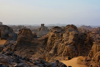 a rocky landscape with a elephant standing on top of it