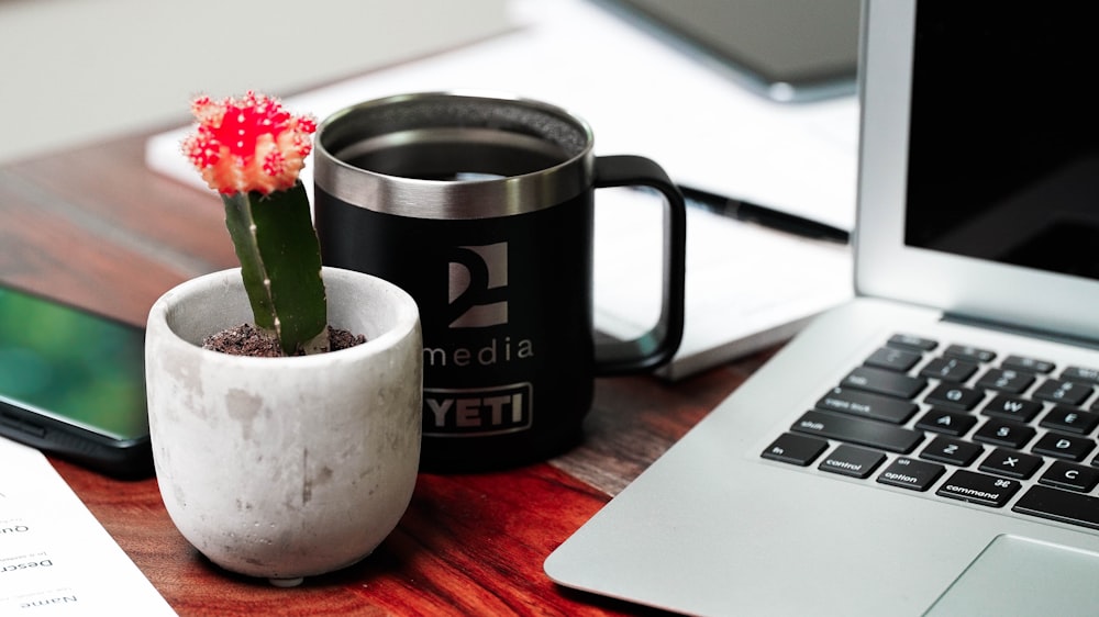 a small cactus in a mug next to a laptop