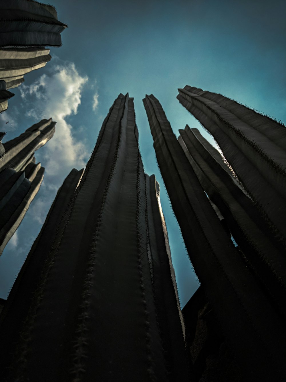 Un grupo de edificios altos con un cielo en el fondo