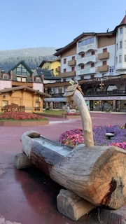 A rustic wooden fountain with water flowing from a spout is situated in a charming plaza. Surrounding the fountain are vibrant flowerbeds featuring purple and red blooms. A collection of buildings with Alpine architectural elements like balconies and pitched roofs encircle the plaza, under a clear blue sky with a hint of forested hills in the background.