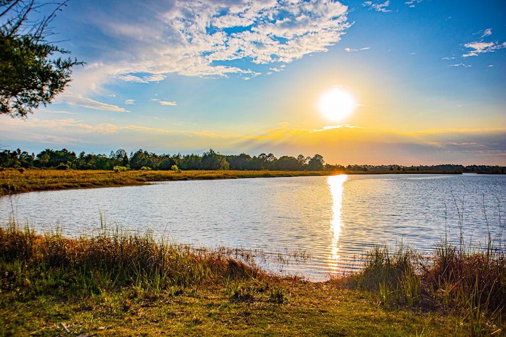 a large body of water sitting next to a lush green field