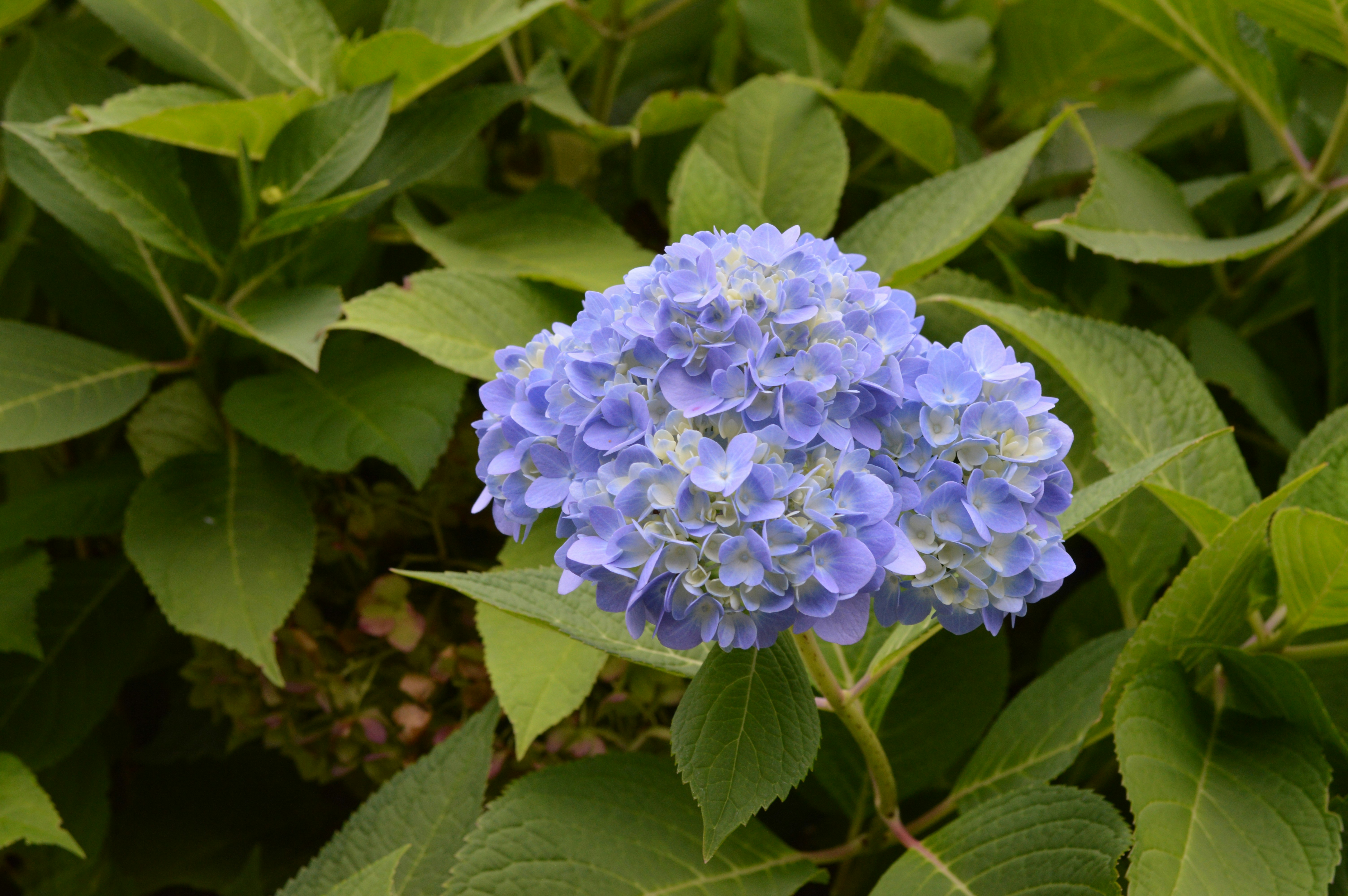 Photo by severedghost