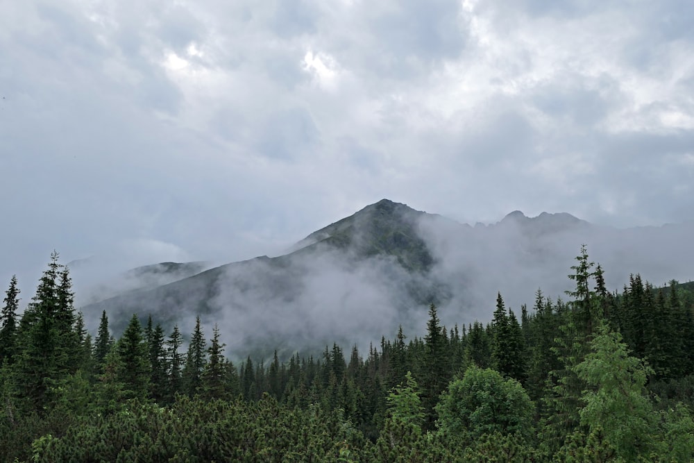 a mountain covered in clouds and trees on a cloudy day