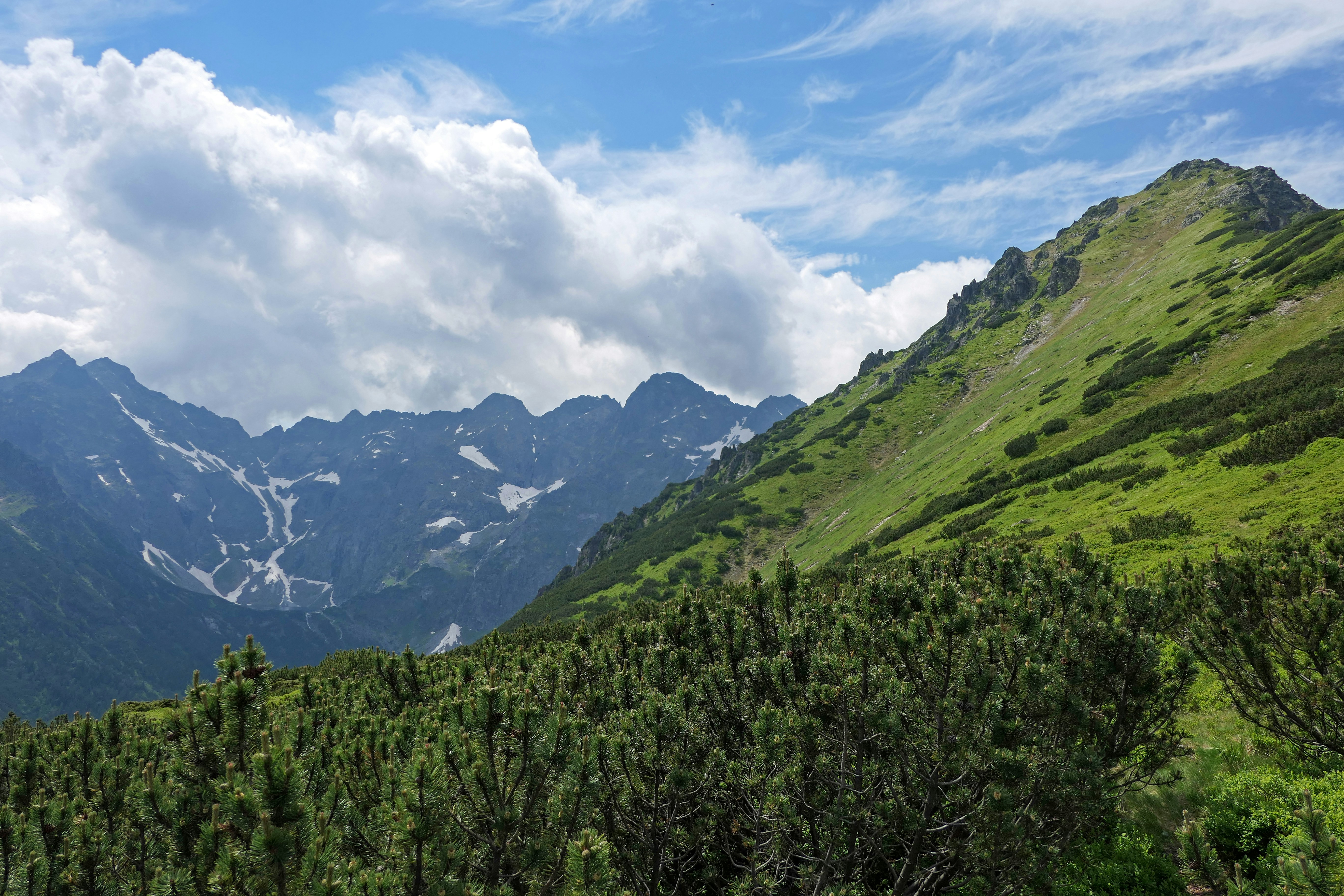 a lush green hillside covered in snow covered mountains