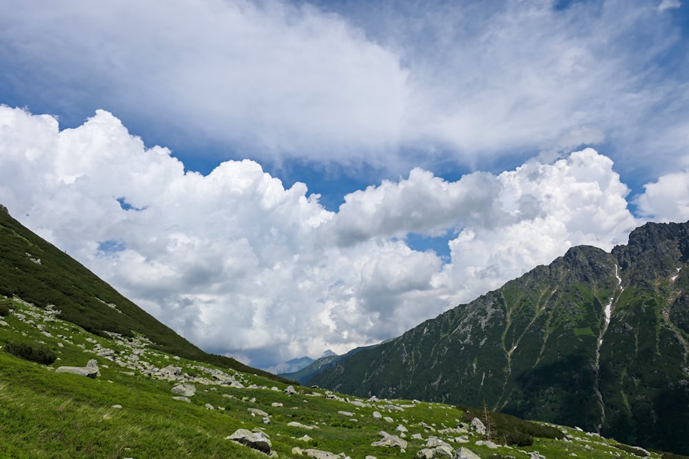 a grassy field with mountains in the background