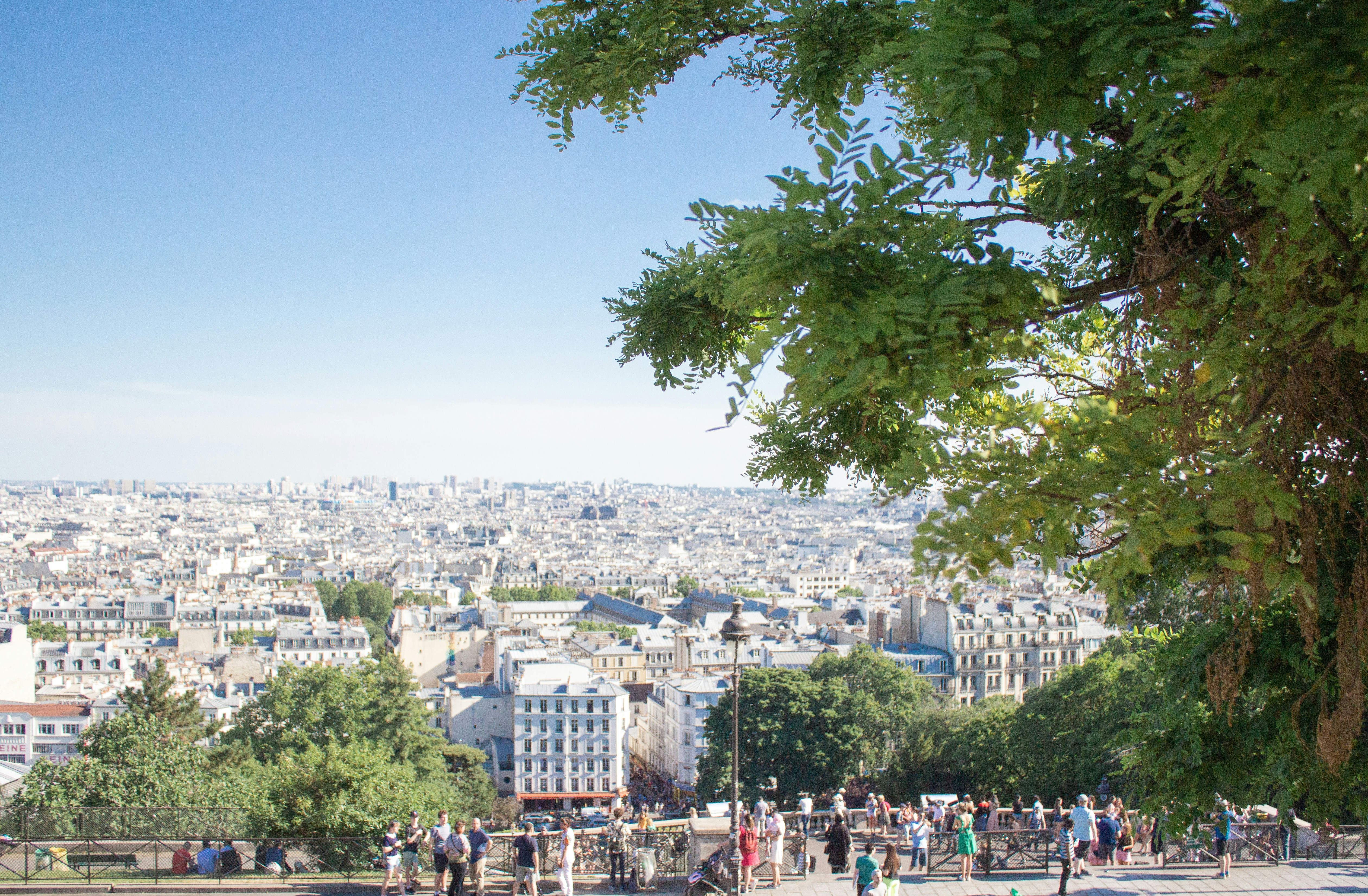 Photo by fionamurrayphoto