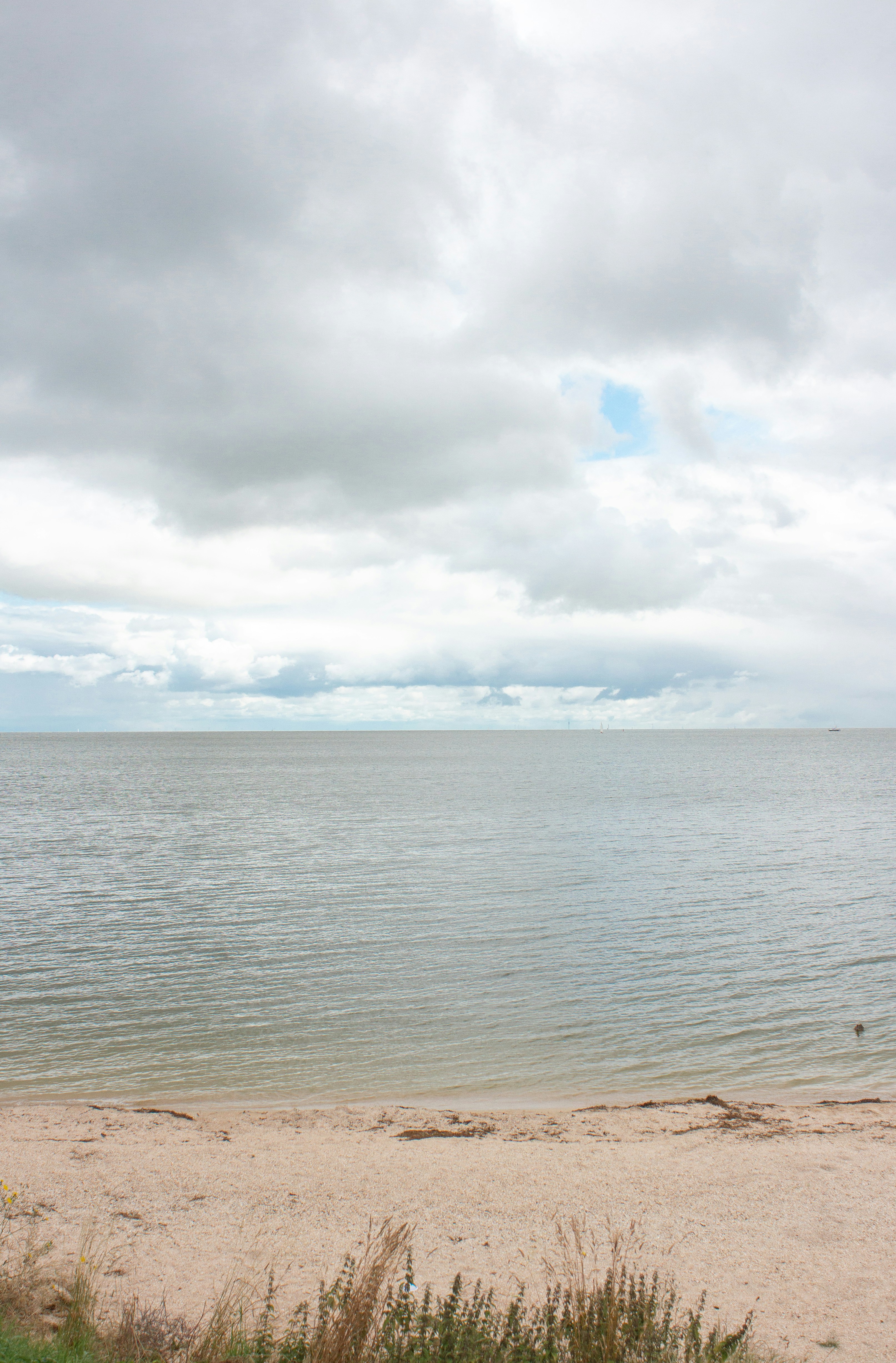 Photo by fionamurrayphoto