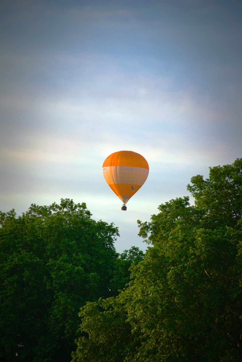 a hot air balloon flying over a lush green forest