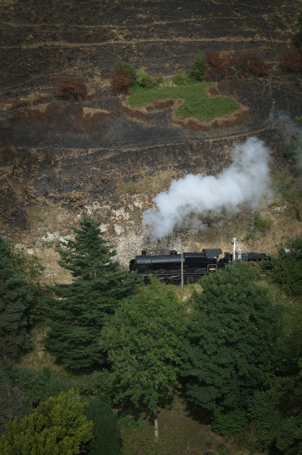 a black train traveling through a lush green forest