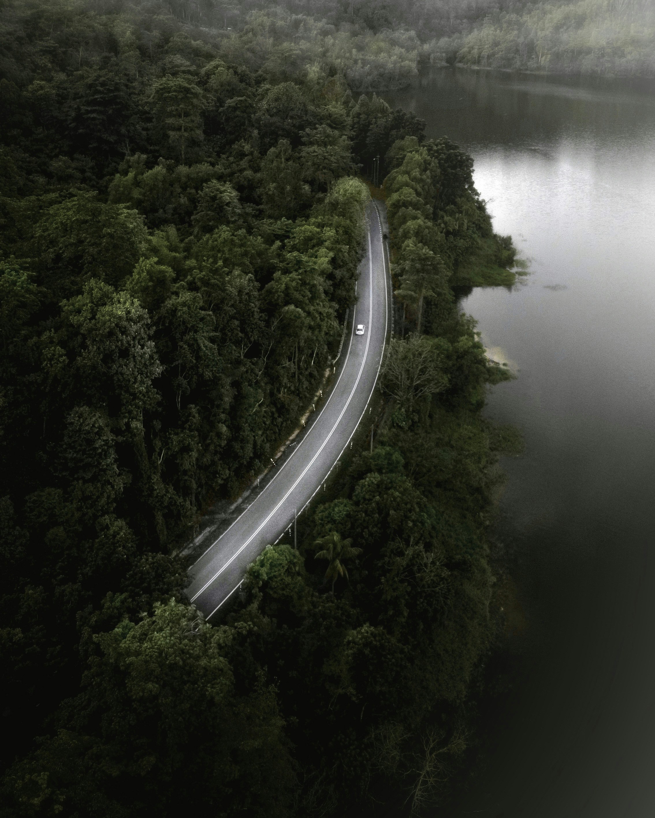 Free Ulu yam Image on Unsplash