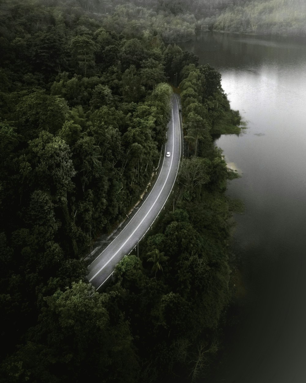 an aerial view of a road in the middle of a forest