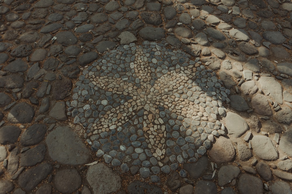 a stone floor with a flower on it