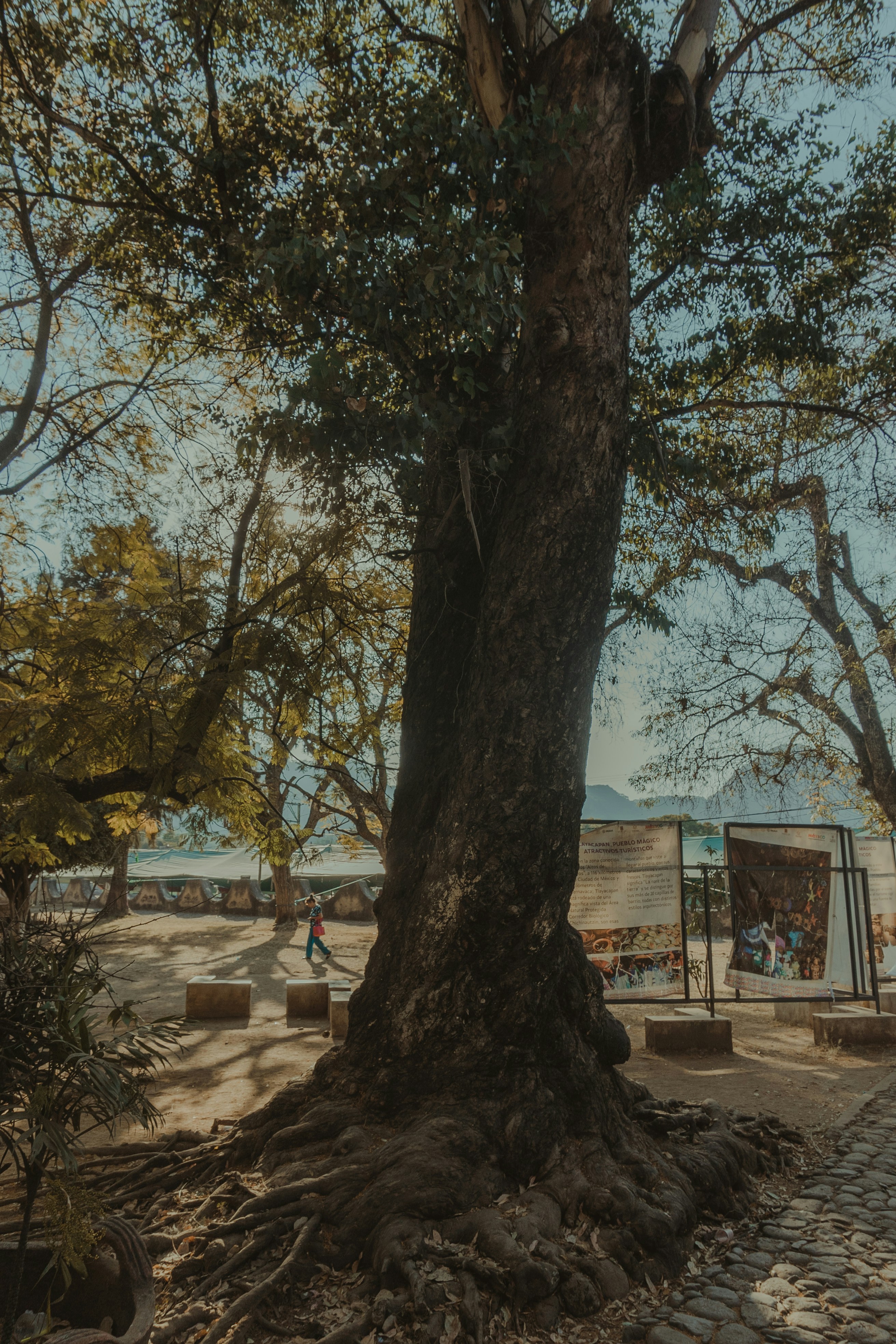 Photo by candegrapher