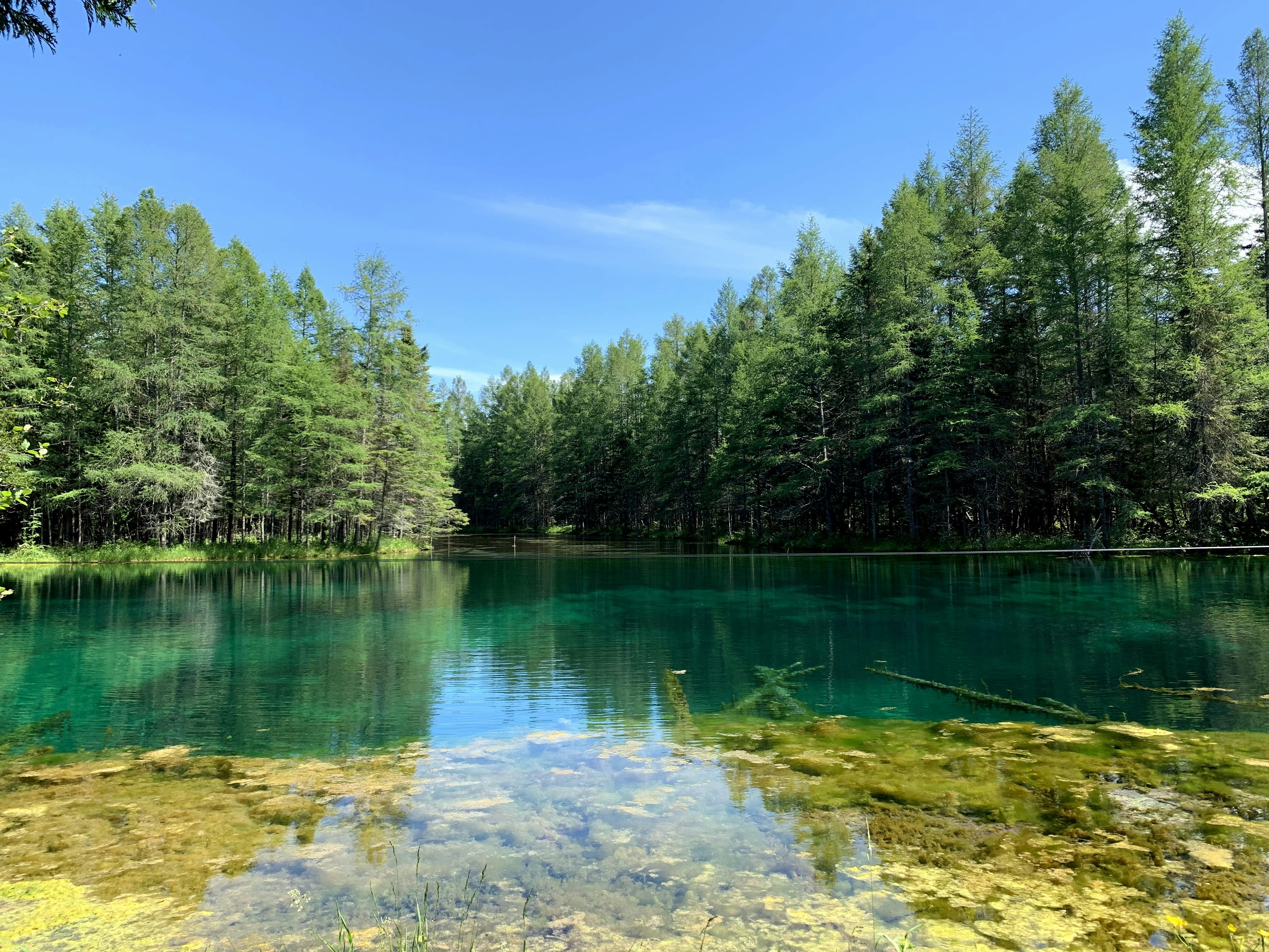 Photo by parthbhawsar