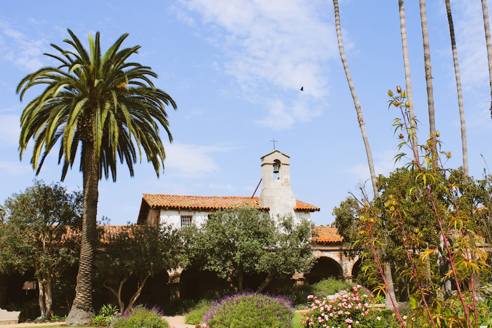 a house with a palm tree in front of it