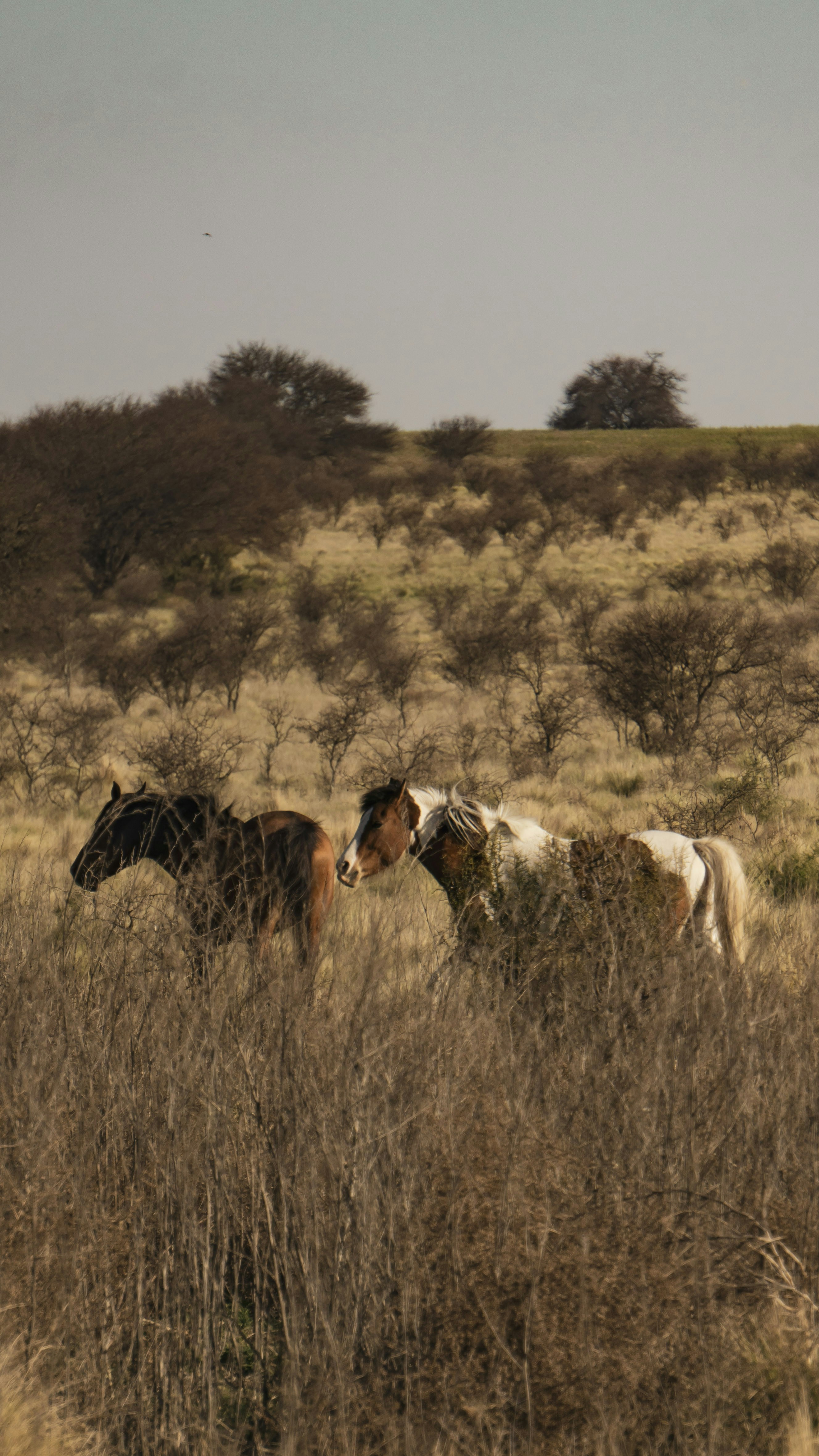 Photo by federicofaccipieri