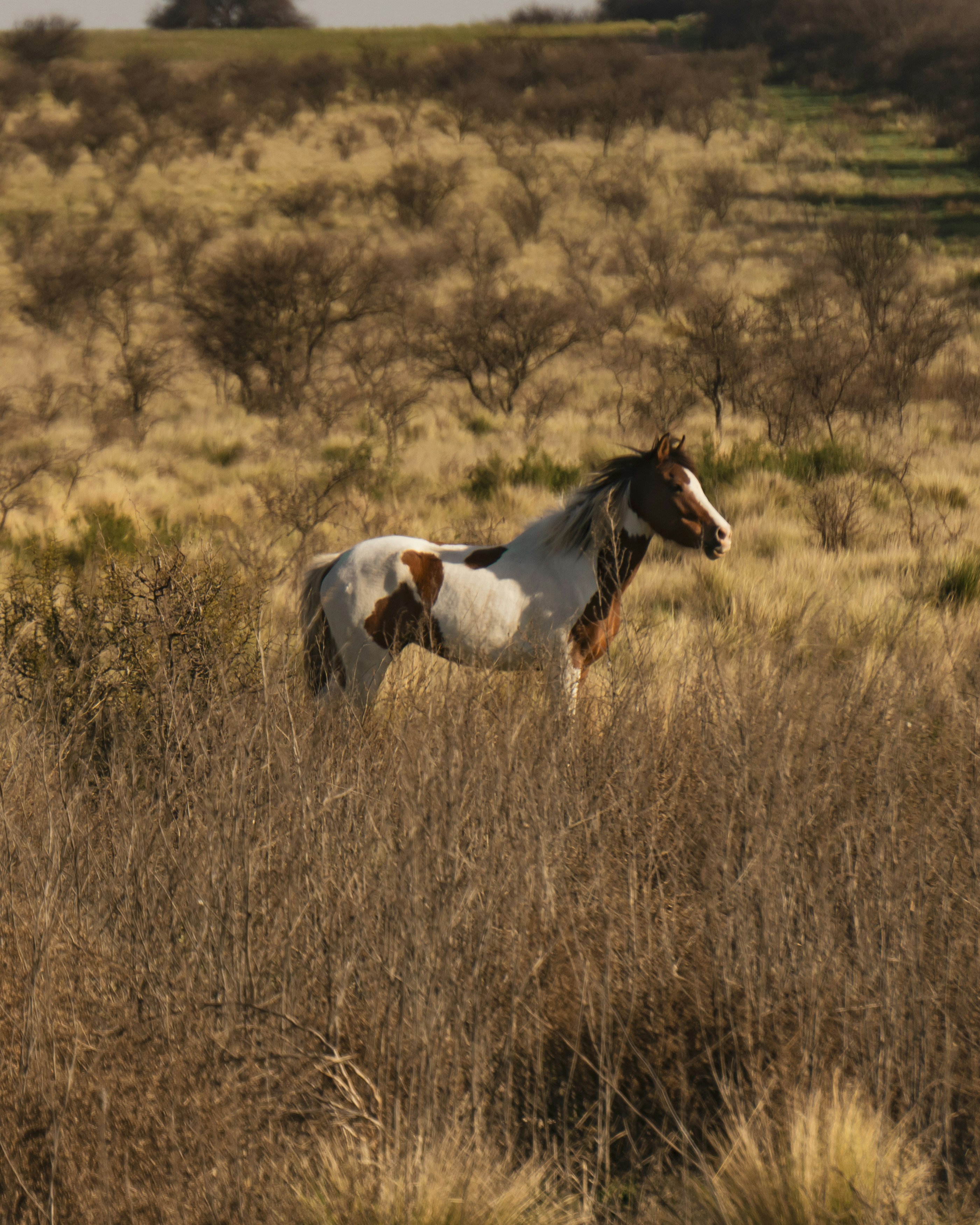 Photo by federicofaccipieri