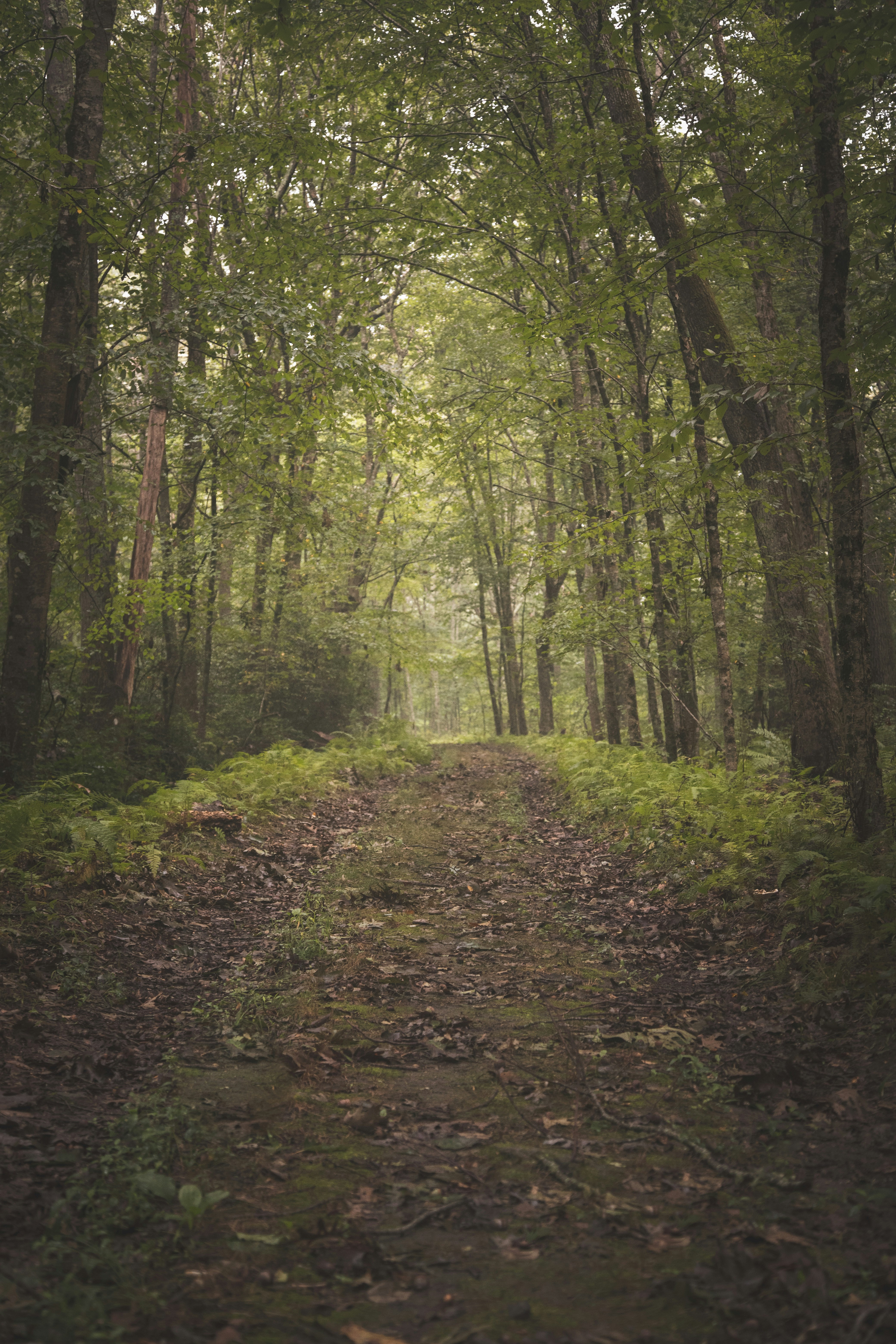 Photo by capturelight