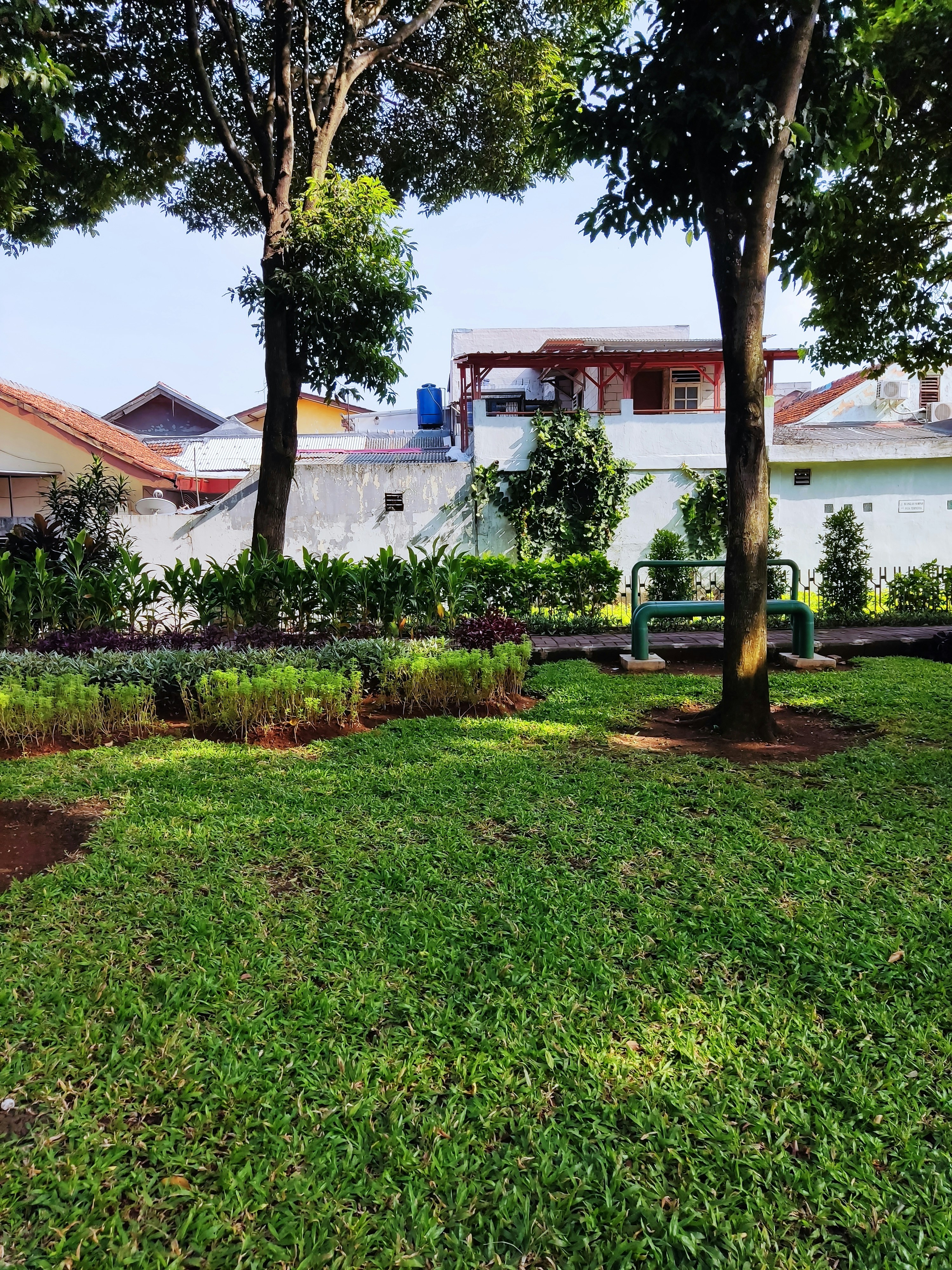 a grassy area with trees and a bench