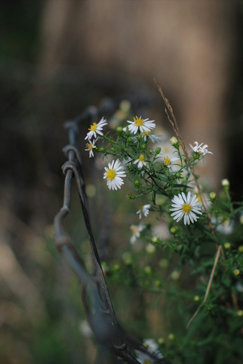 a bunch of flowers that are sitting in a basket