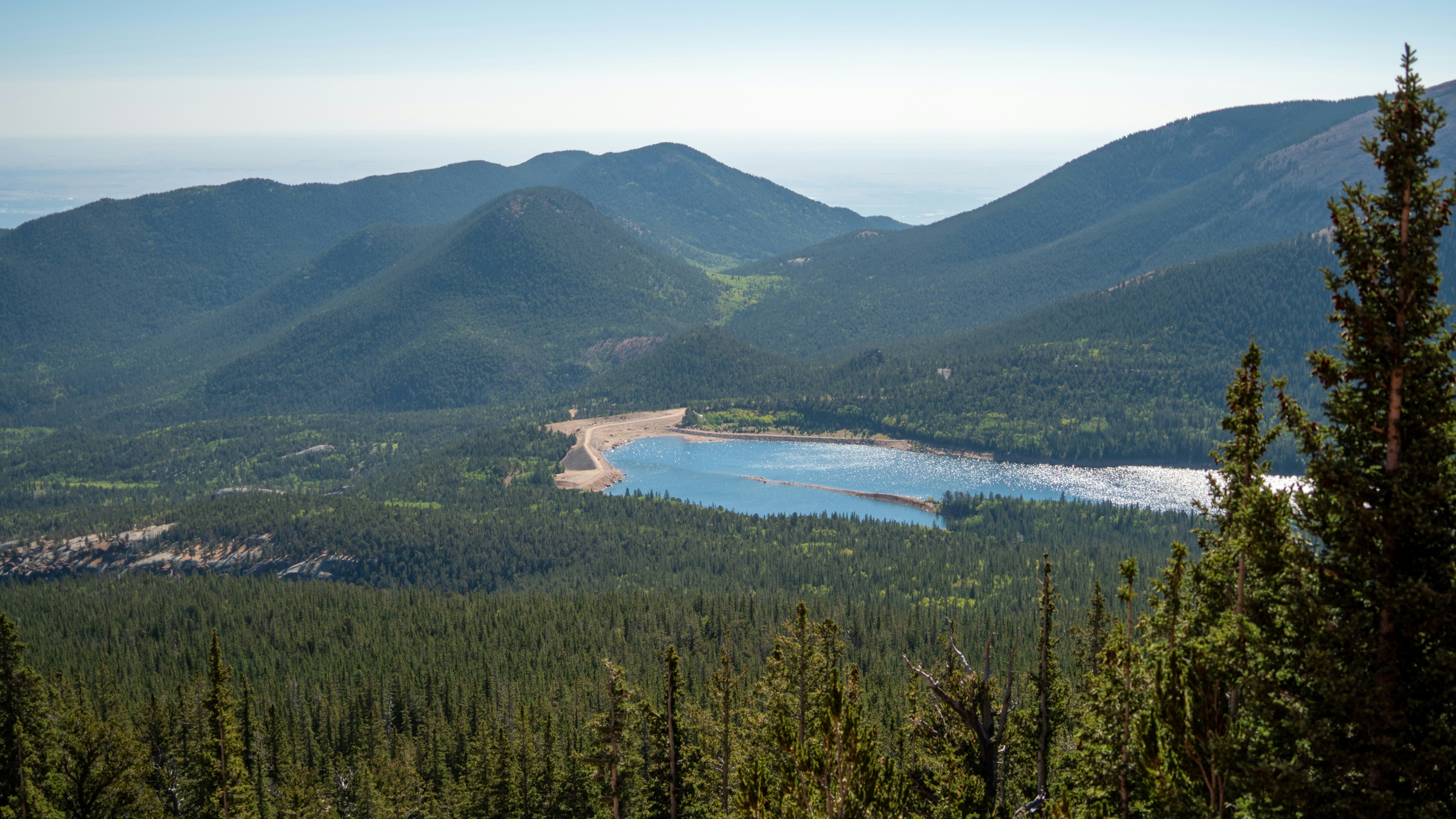 a view of a lake in the middle of a forest