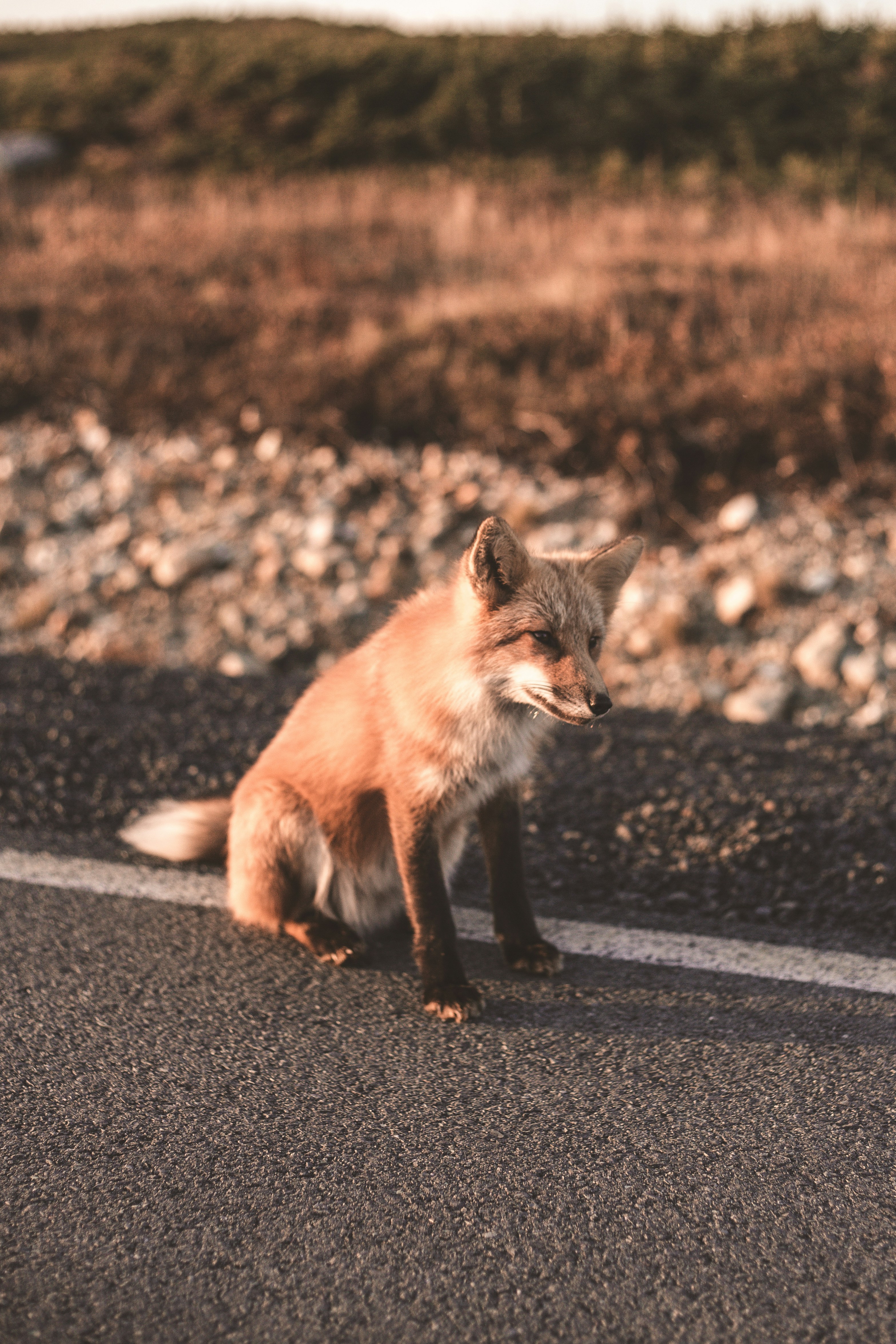 Photo by introspectivedsgn