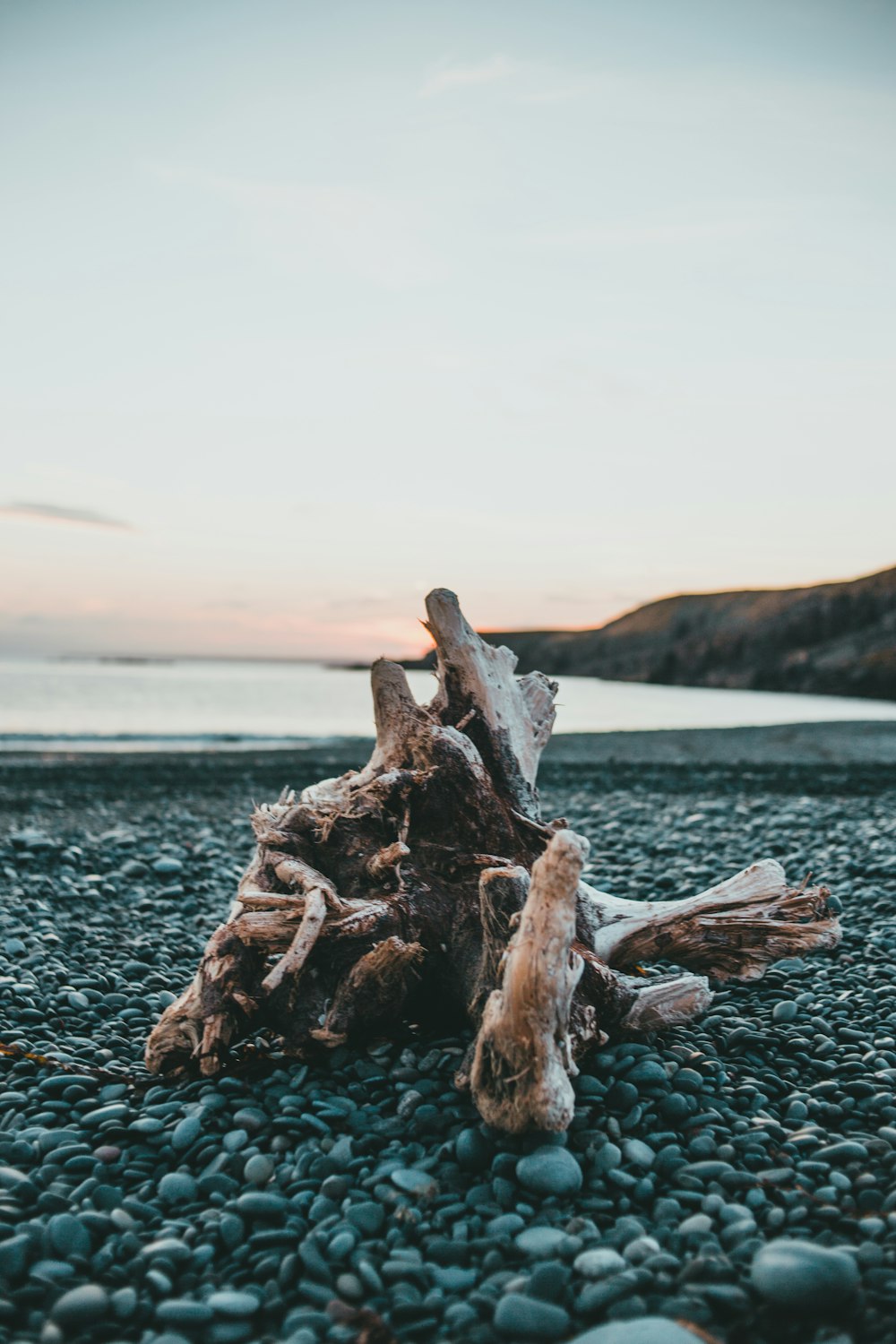 a piece of driftwood sitting on top of a rocky beach