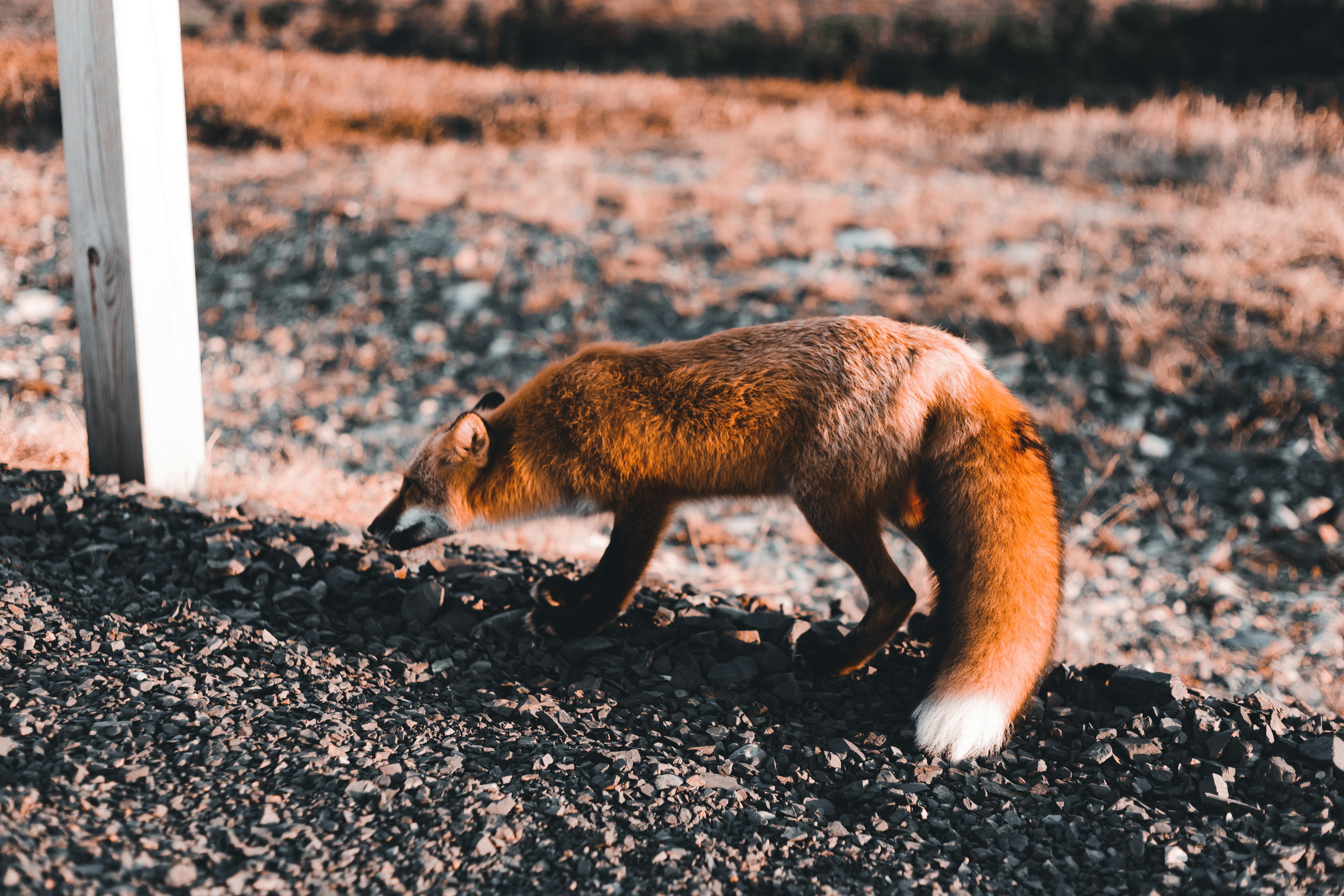 Photo by introspectivedsgn