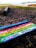 A colorful wooden sign is lying on a sandy beach with grass patches. The sign has a message in Portuguese about endangered marine turtles and human actions. In the background, a beach scene with several people, a bright sky, and a distant horizon is visible.