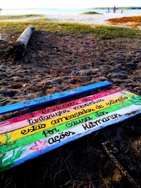A colorful wooden sign is lying on a sandy beach with grass patches. The sign has a message in Portuguese about endangered marine turtles and human actions. In the background, a beach scene with several people, a bright sky, and a distant horizon is visible.