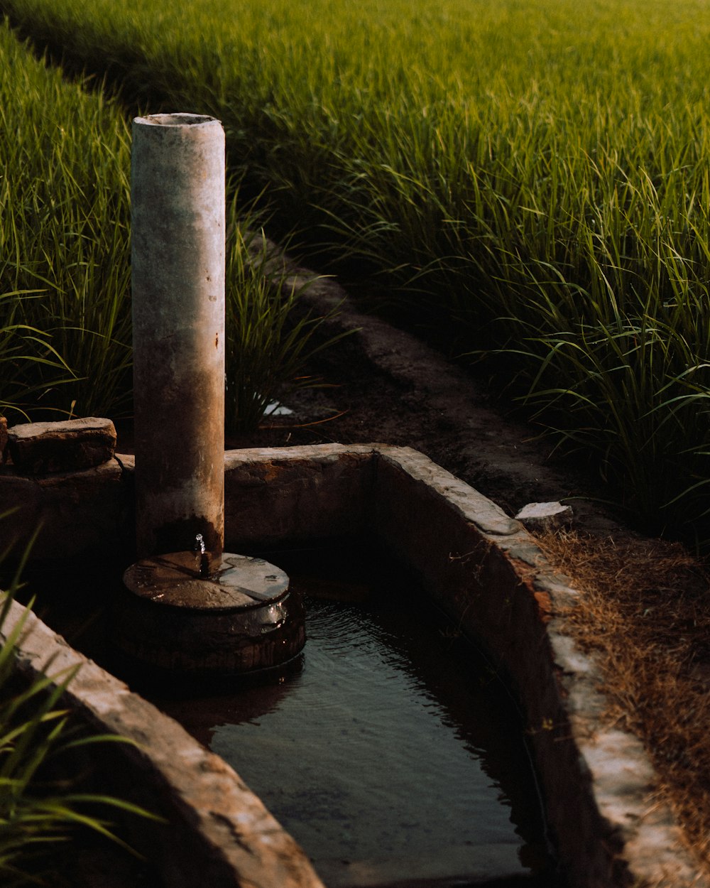 a well in the middle of a grassy field