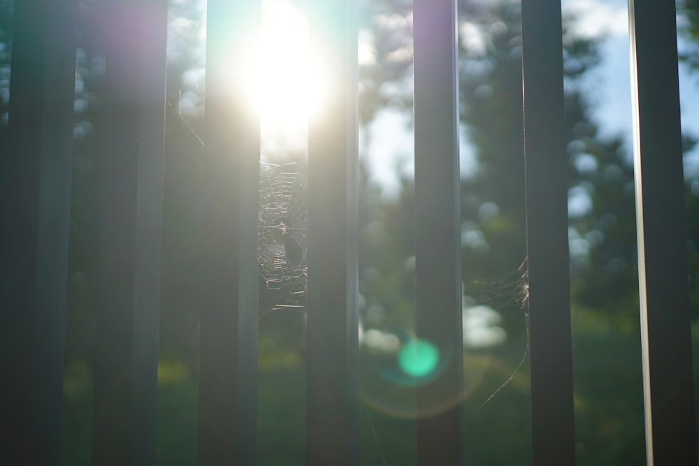 a close up of a metal fence with the sun shining through it