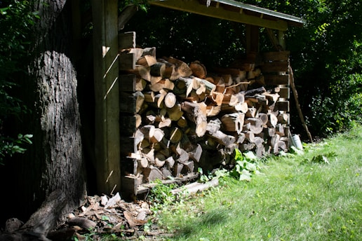 A stack of chopped firewood is neatly arranged under a simple wooden shelter next to a large tree. The scene is surrounded by lush green grass and foliage, creating a peaceful and natural setting. Sunlight filters through the leaves, casting dappled shadows on the ground and wood.